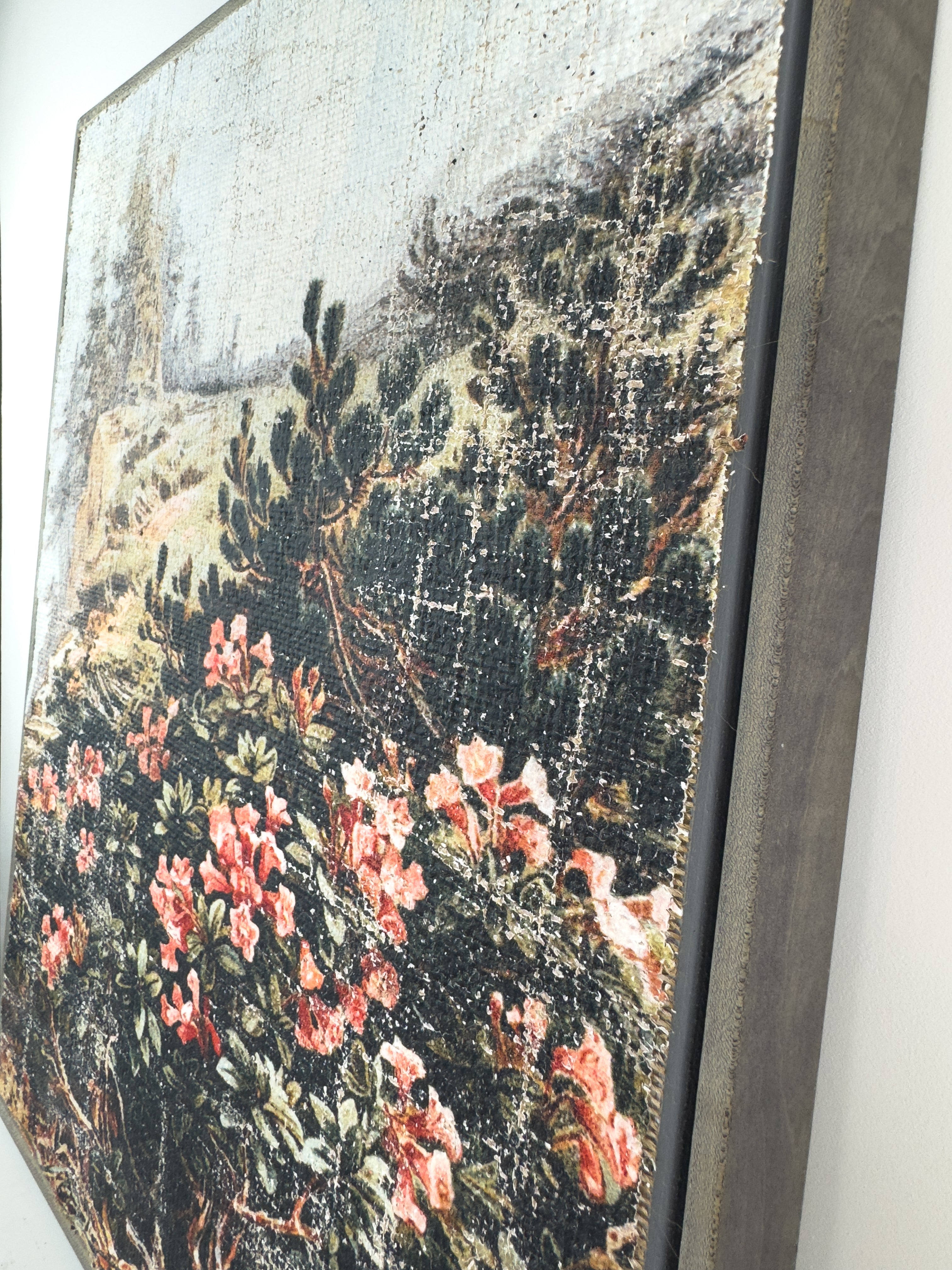 Pink Flowers on a Cliffside