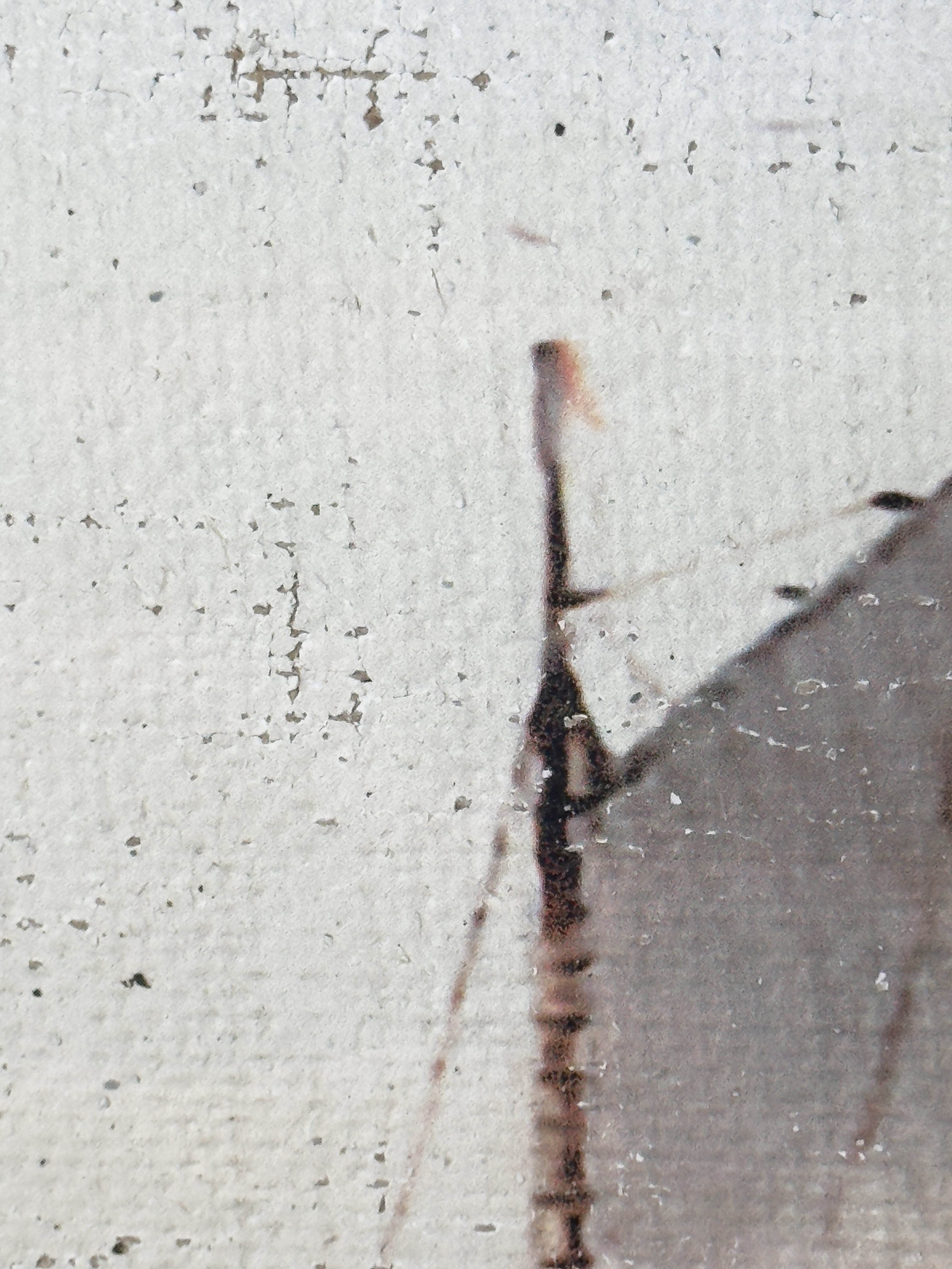 Vintage Sailboat - Sails in Time