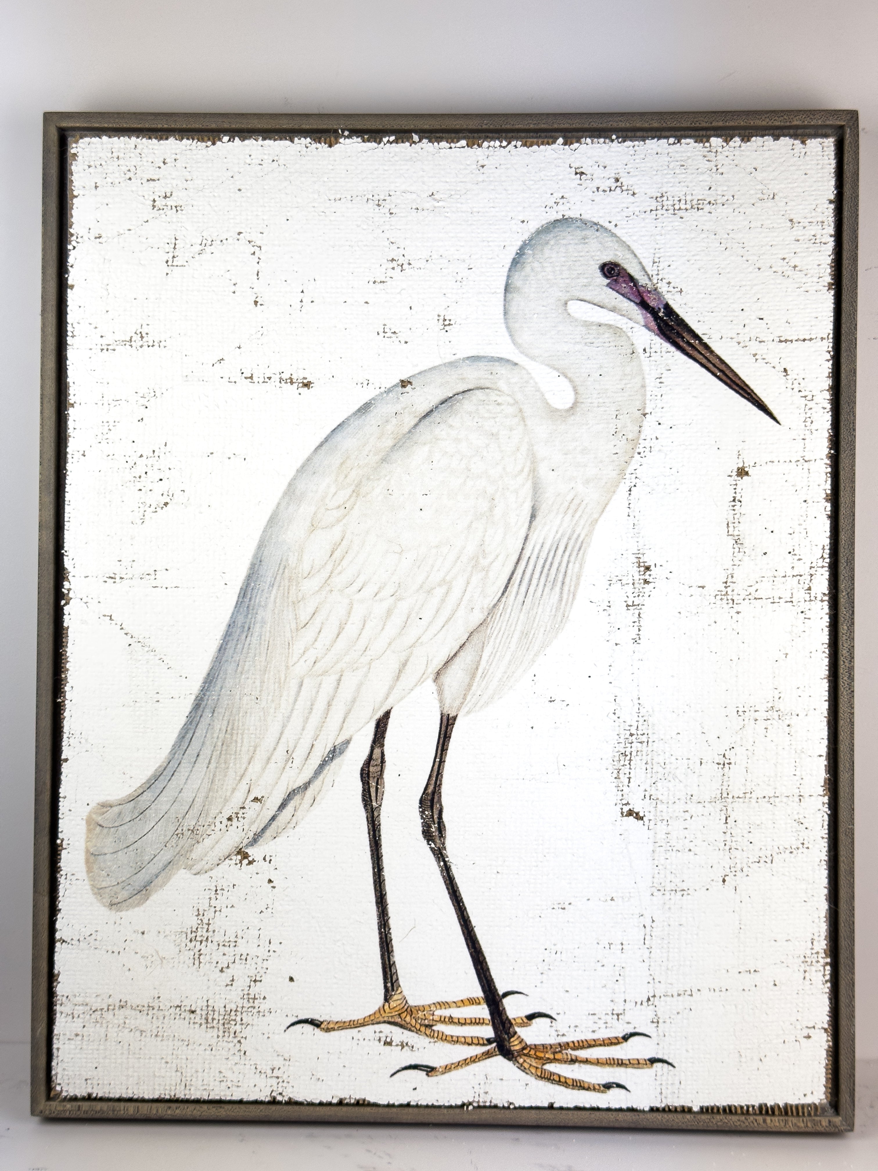 White Egret