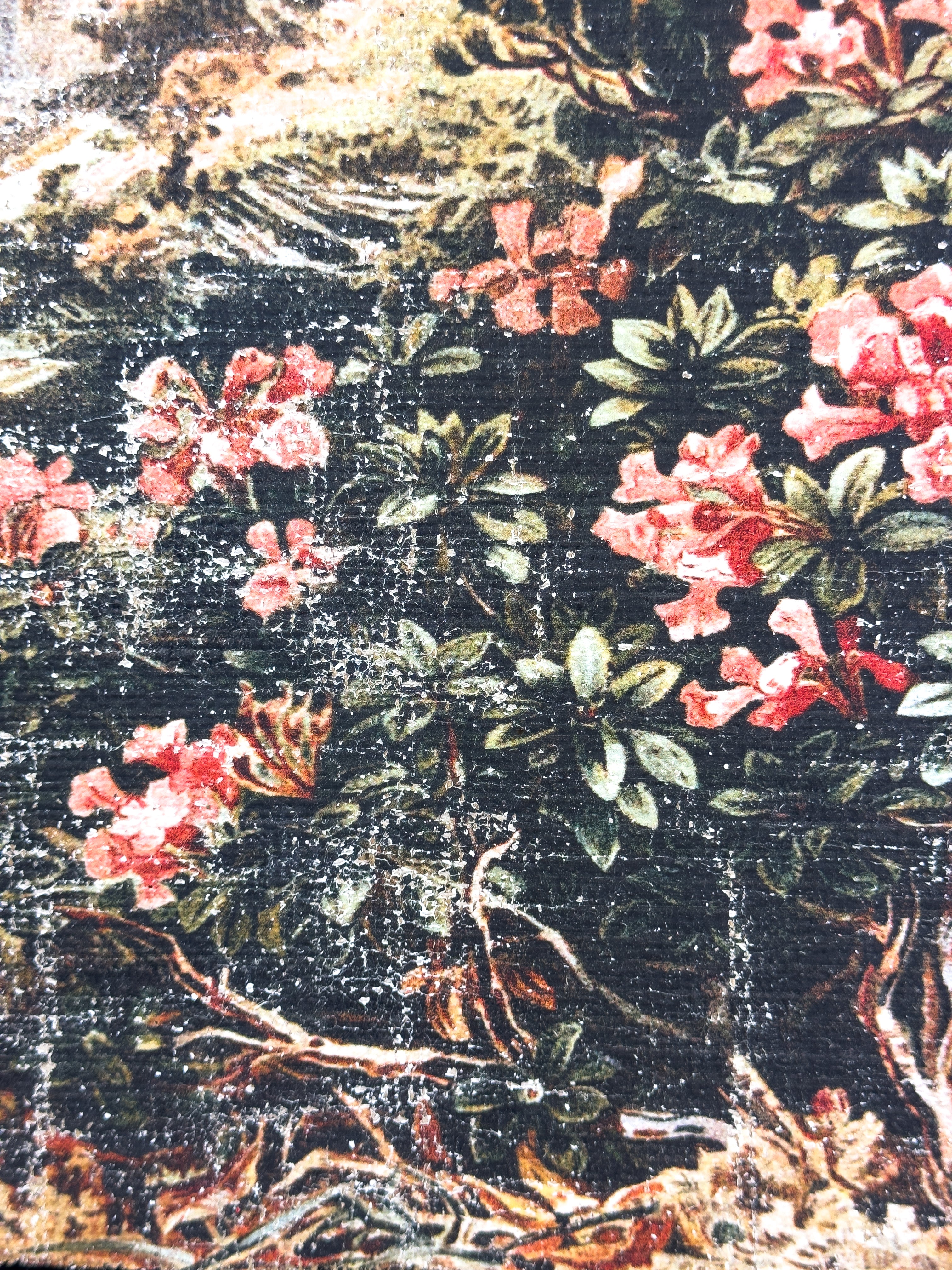 Pink Flowers on a Cliffside