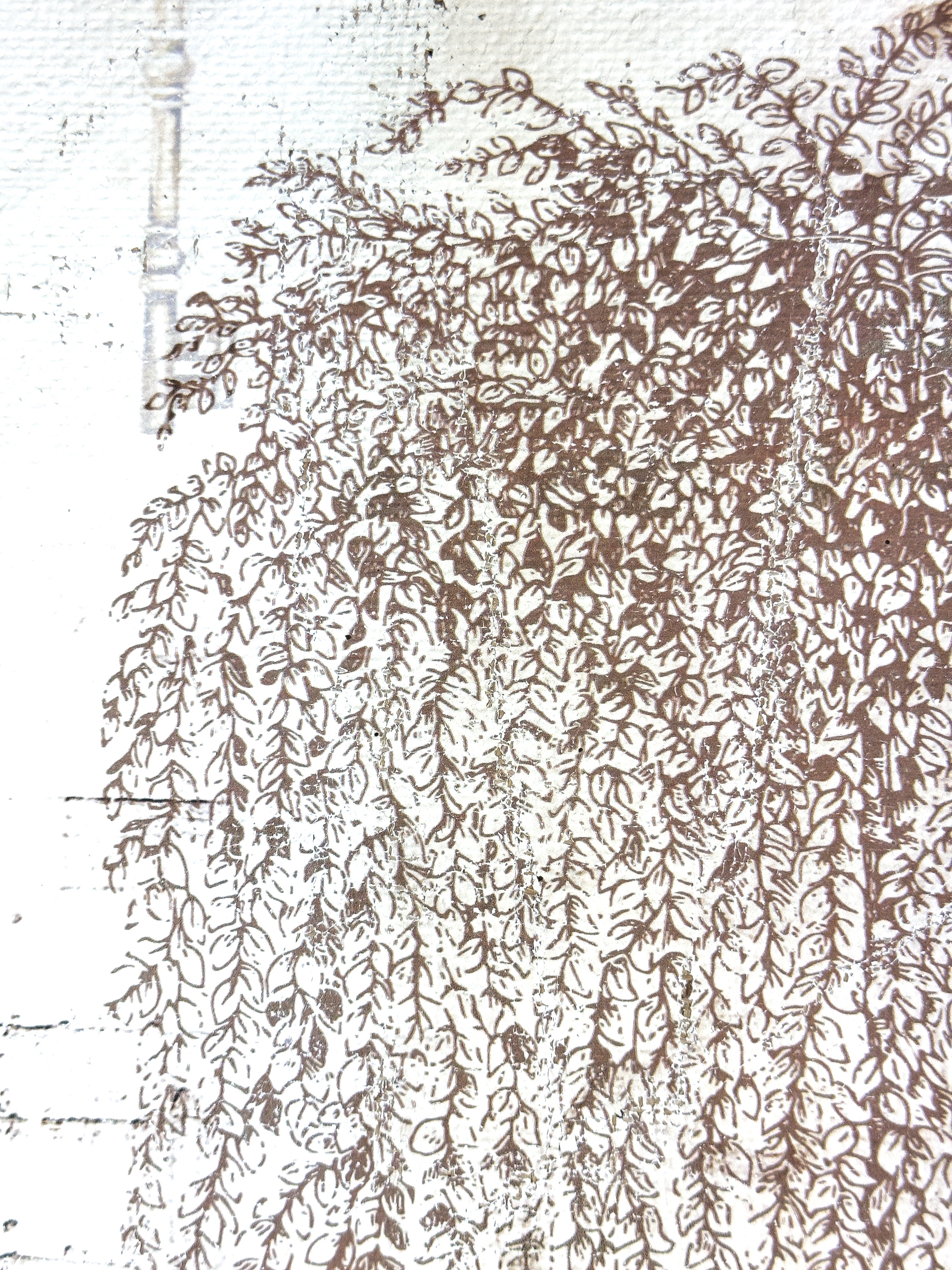 Weeping Willow - Branches of Fate