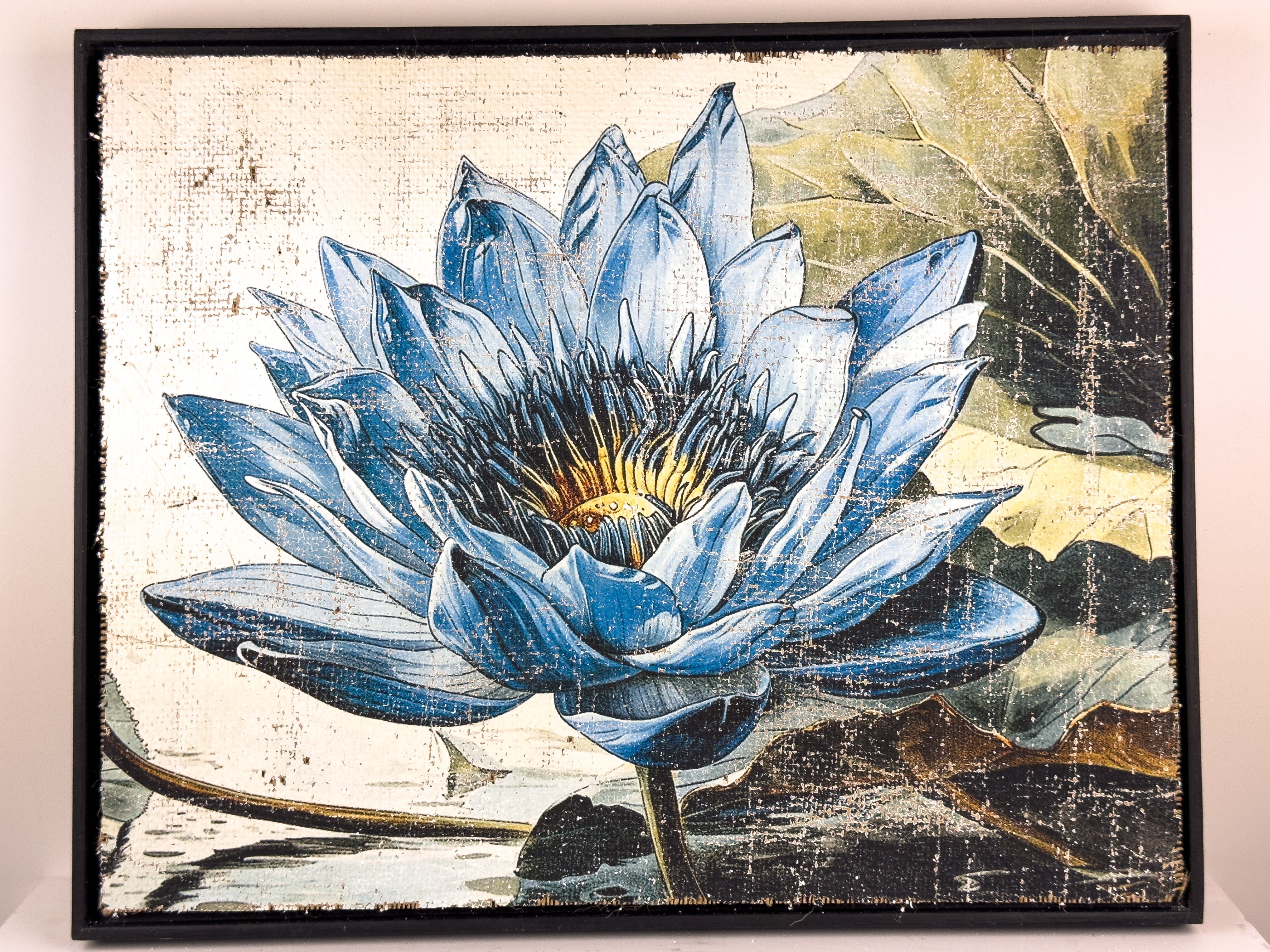 Blue Lotus