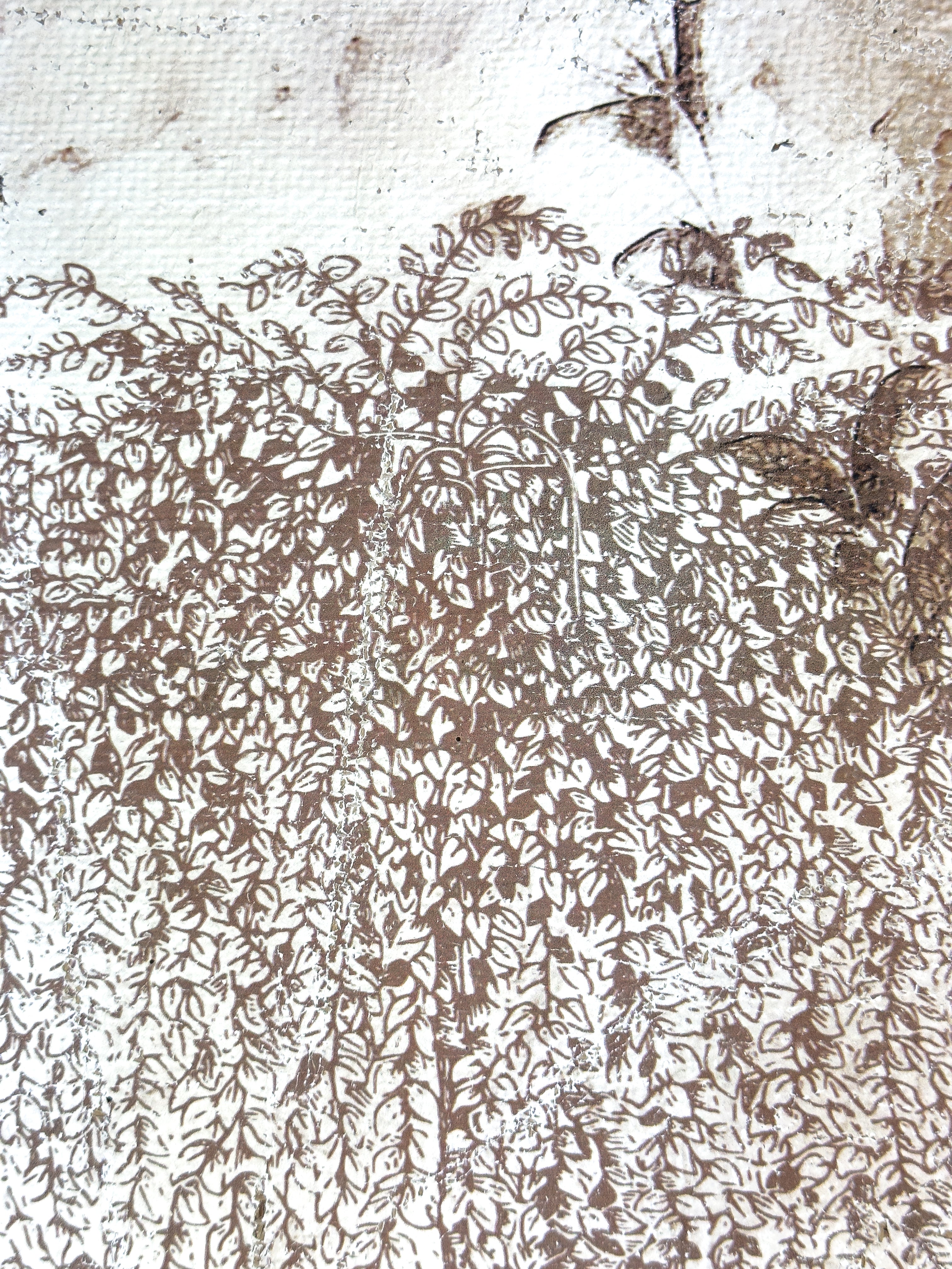 Weeping Willow - Branches of Fate