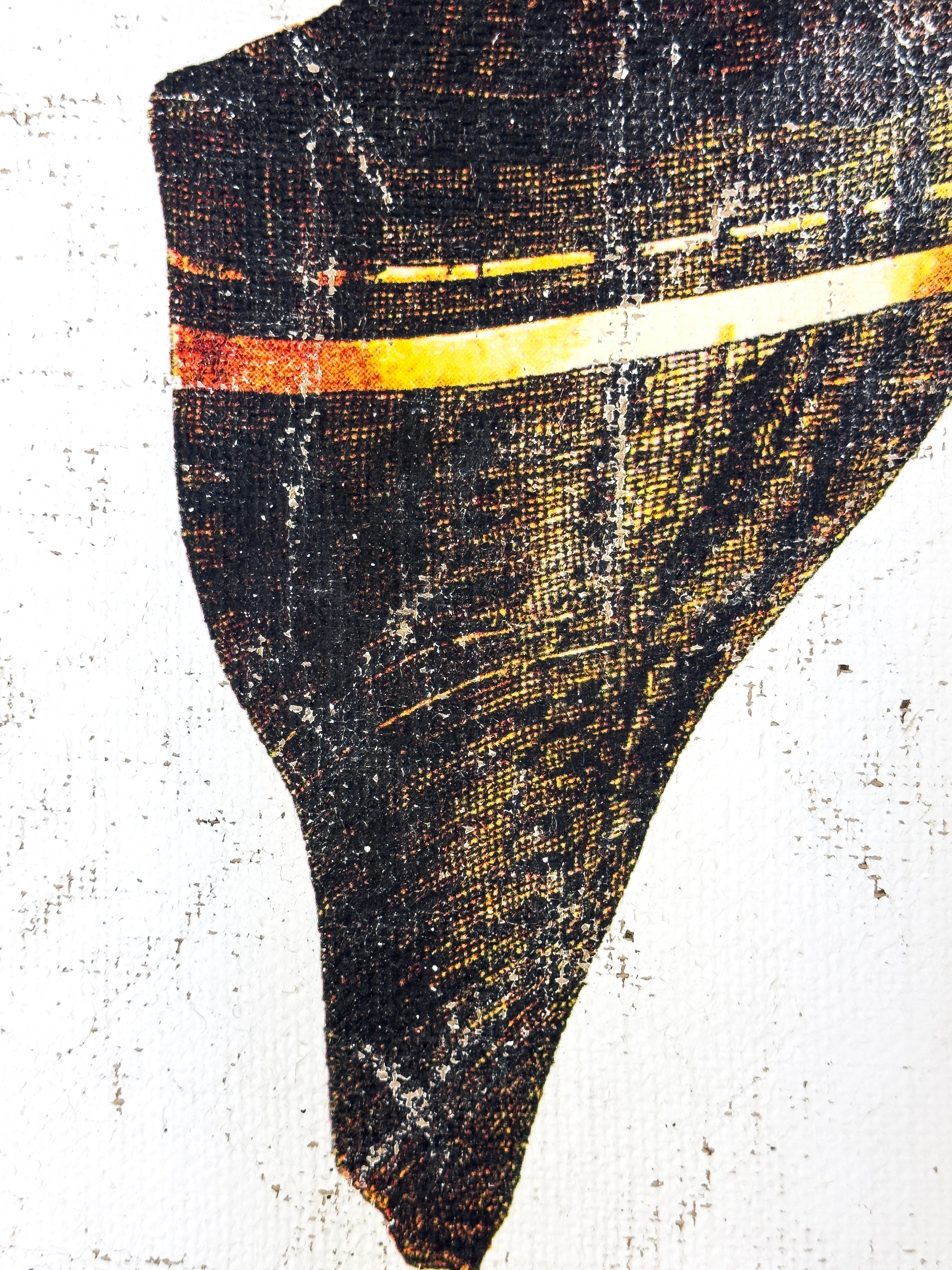 Black and Gold Cone Shell