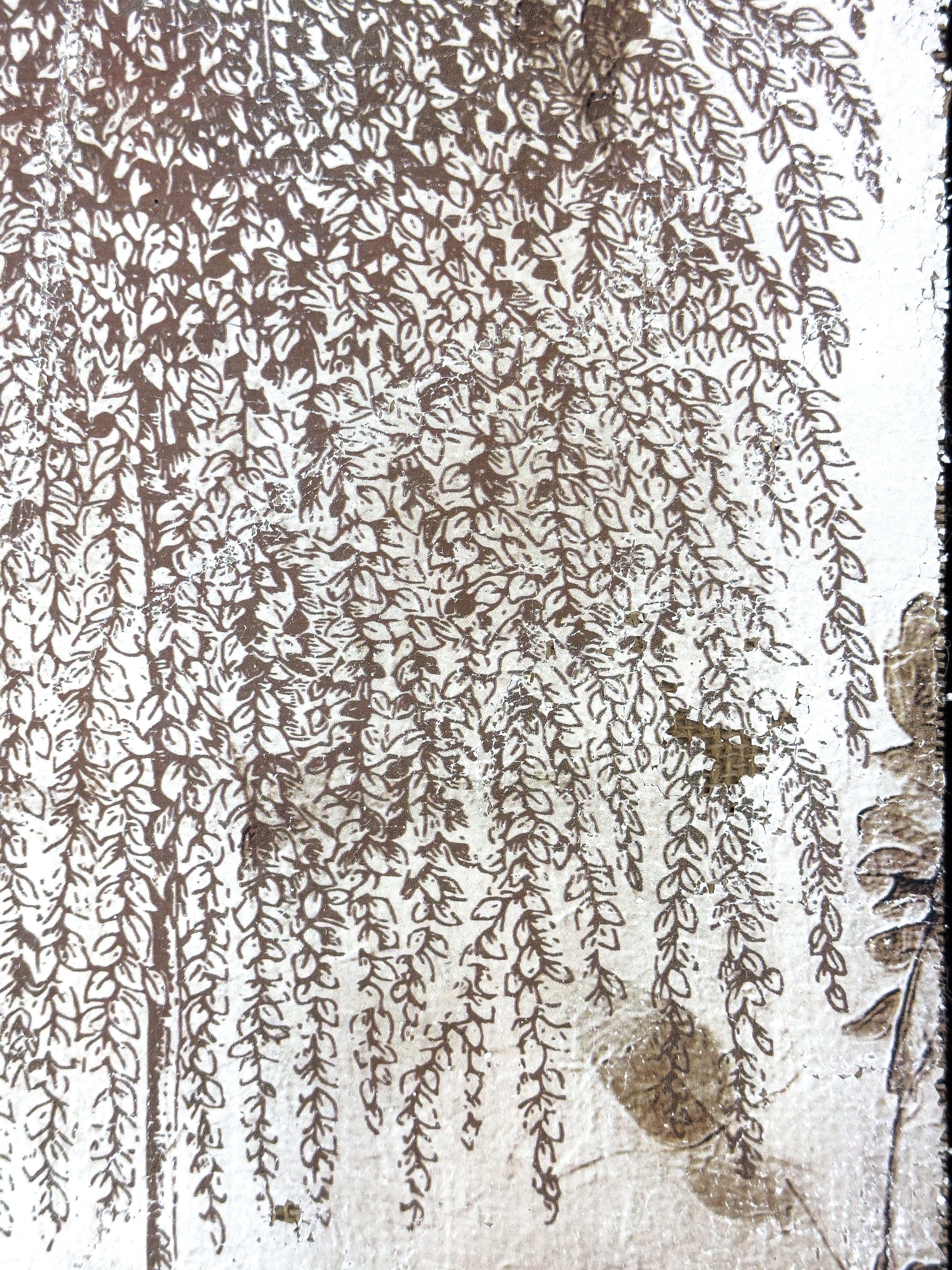 Weeping Willow - Branches of Fate