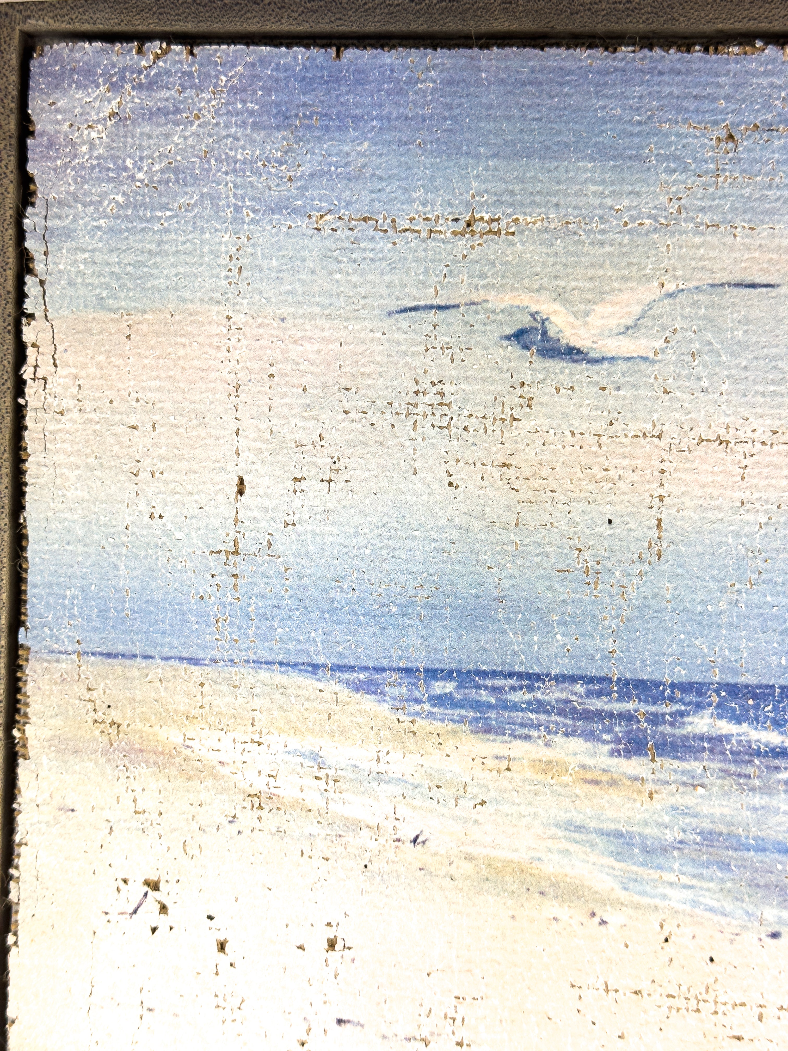 Coastal Beach Day - Where the Gulls Lead