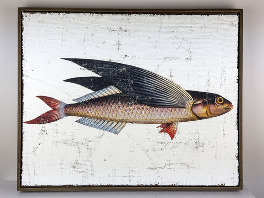 Flying Fish