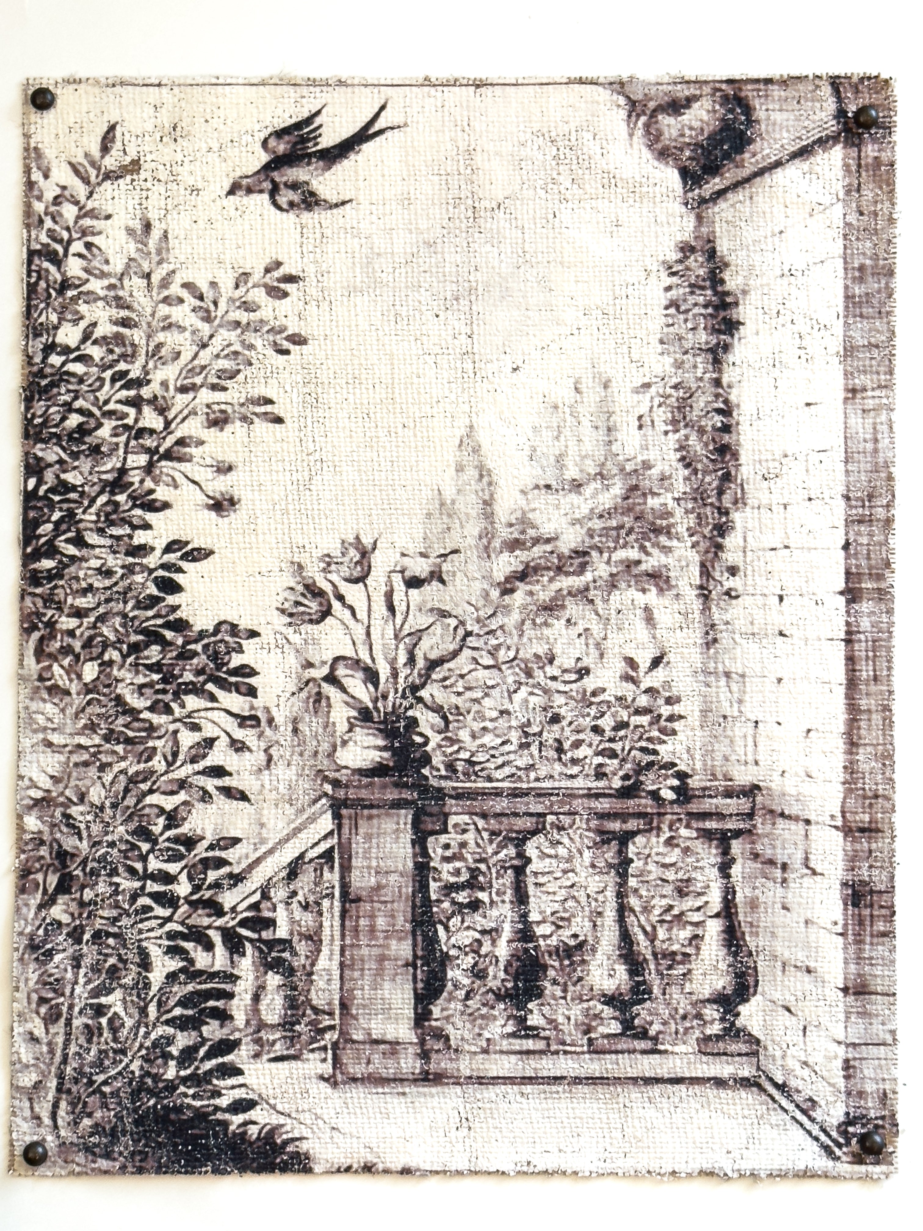 Black and white bird - Balustrade Dreams