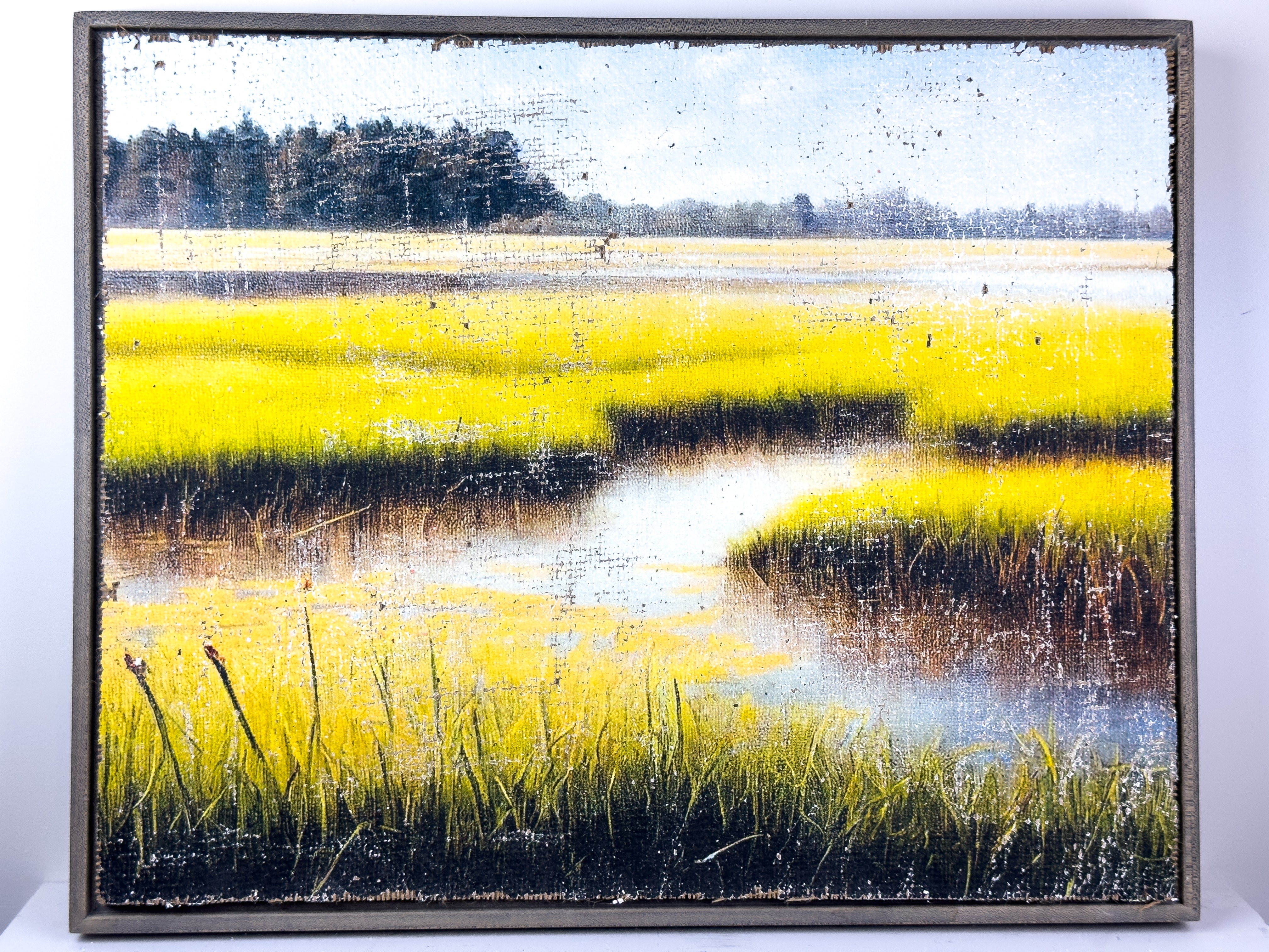 The Magic of the Marsh