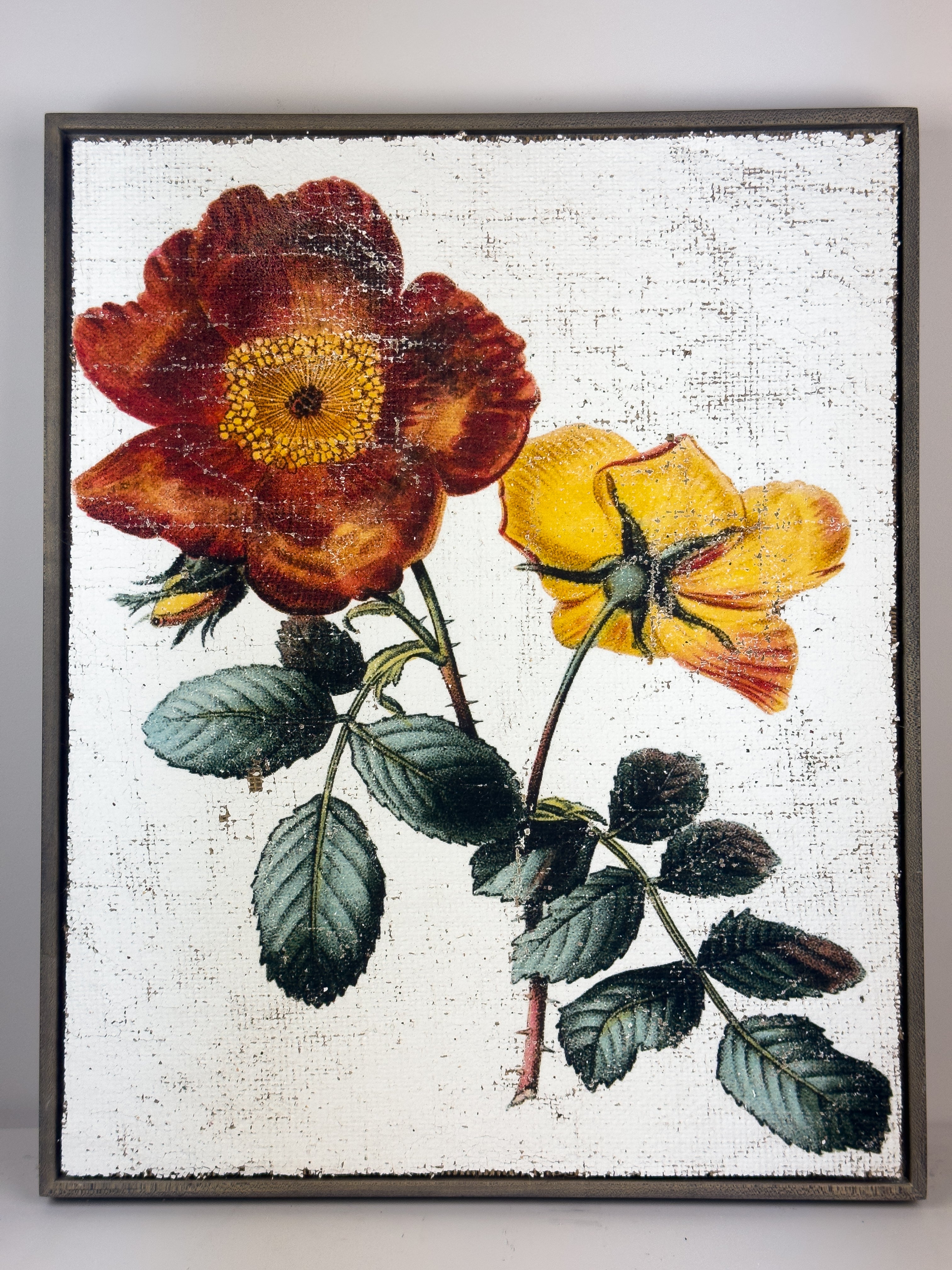 Red and Yellow Roses