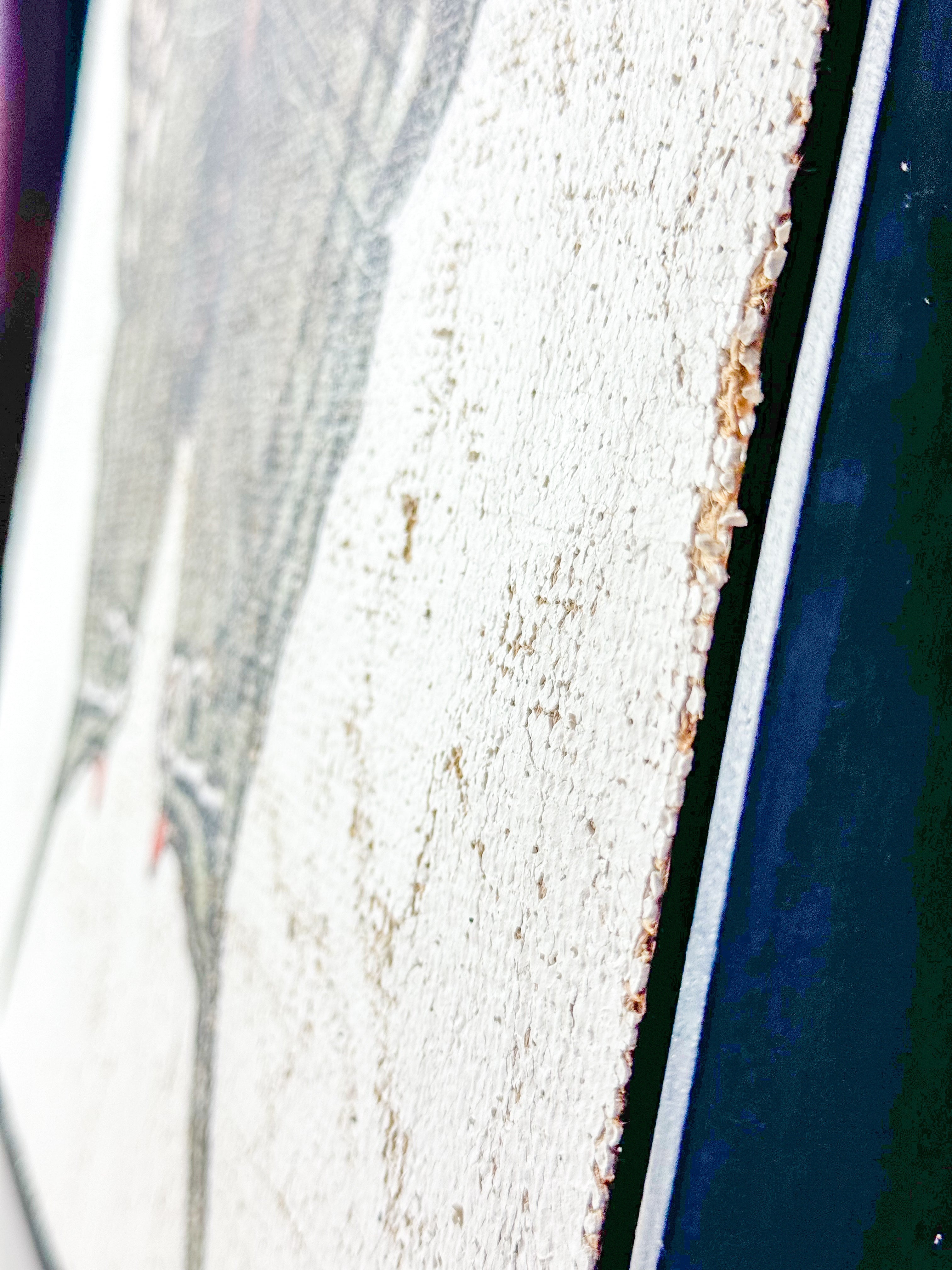 Green Swordtail Butterfly