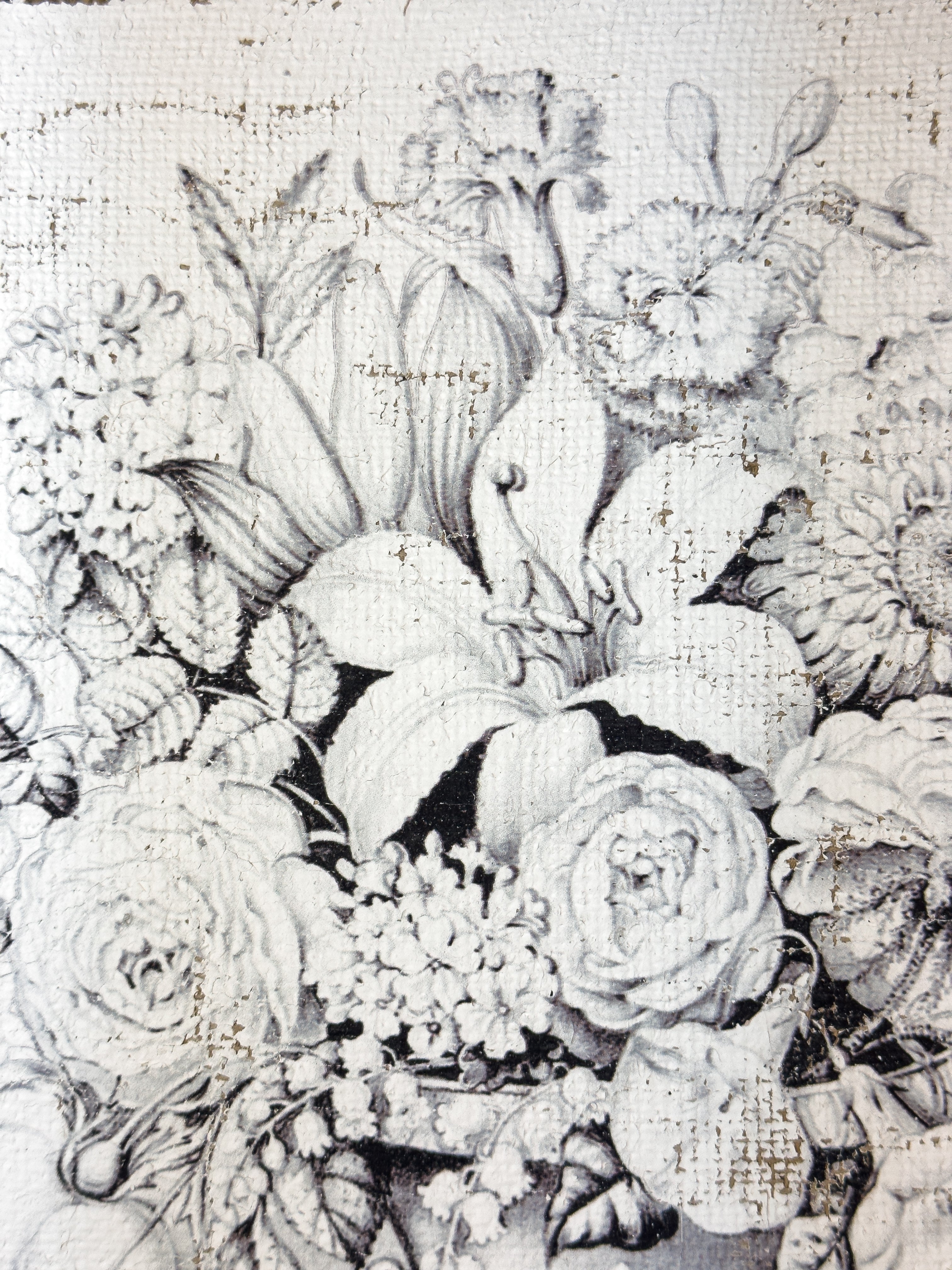 Black and Blanc Opulence