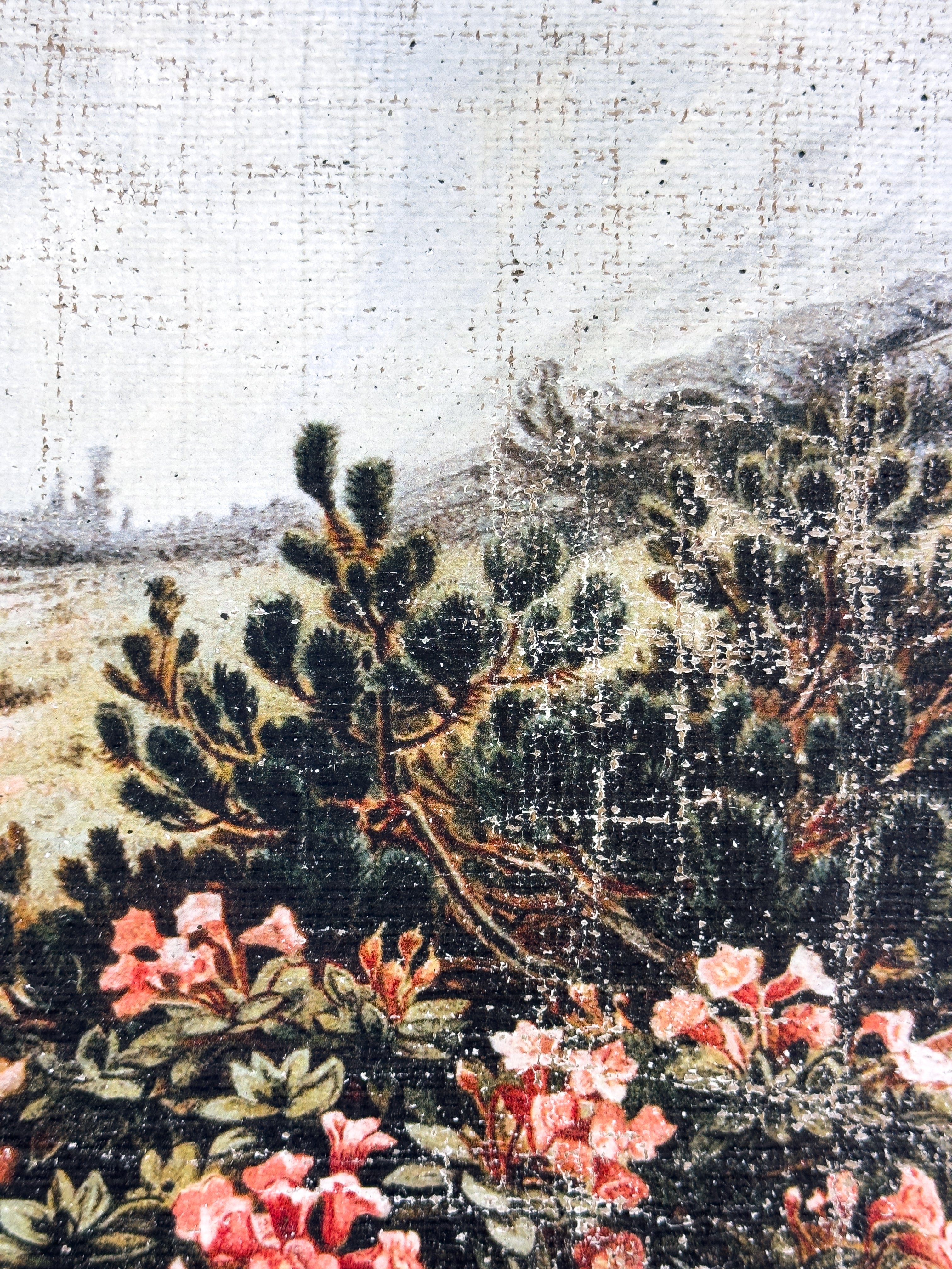 Pink Flowers on a Cliffside