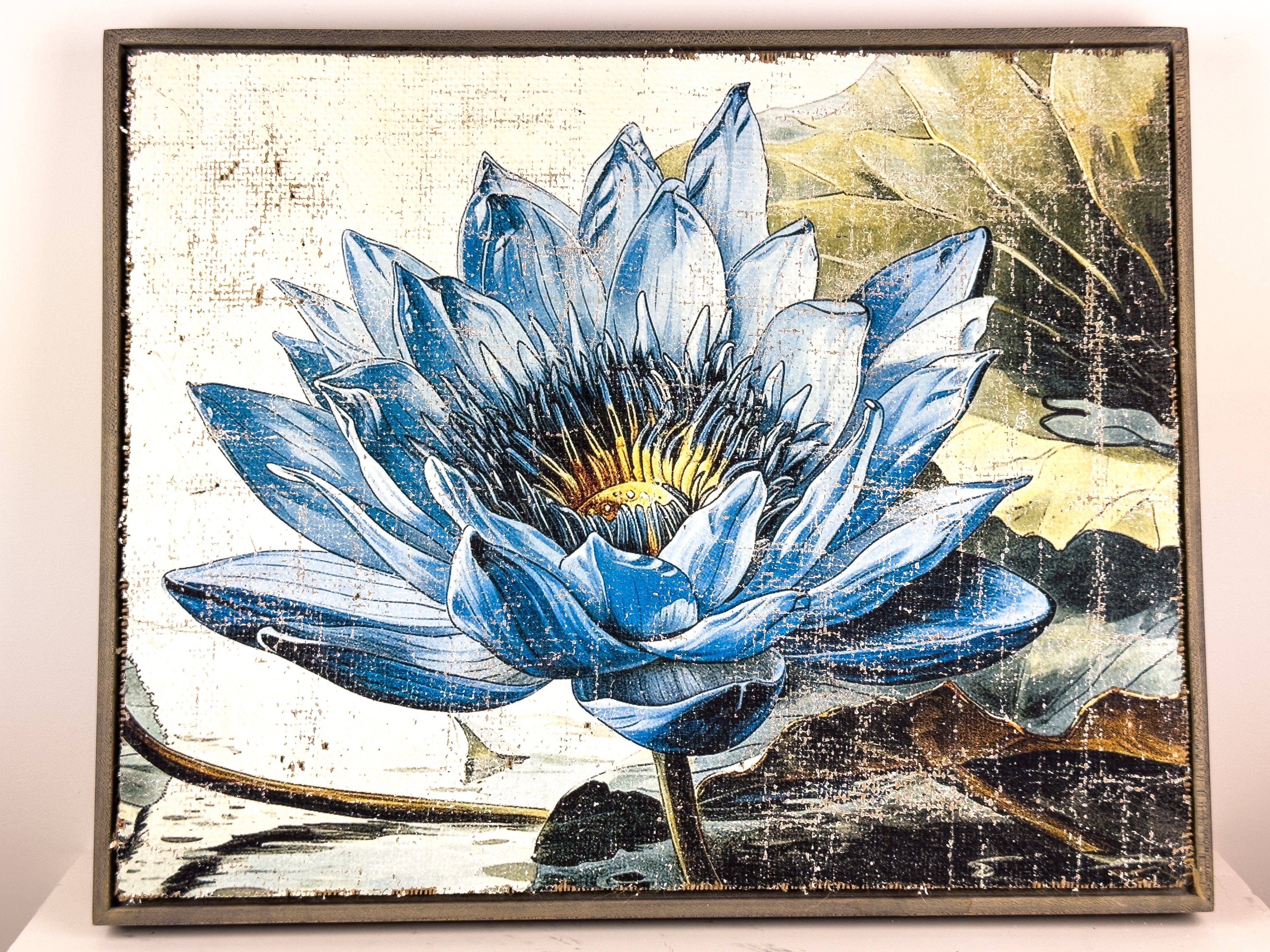 Secrets of the Lotus