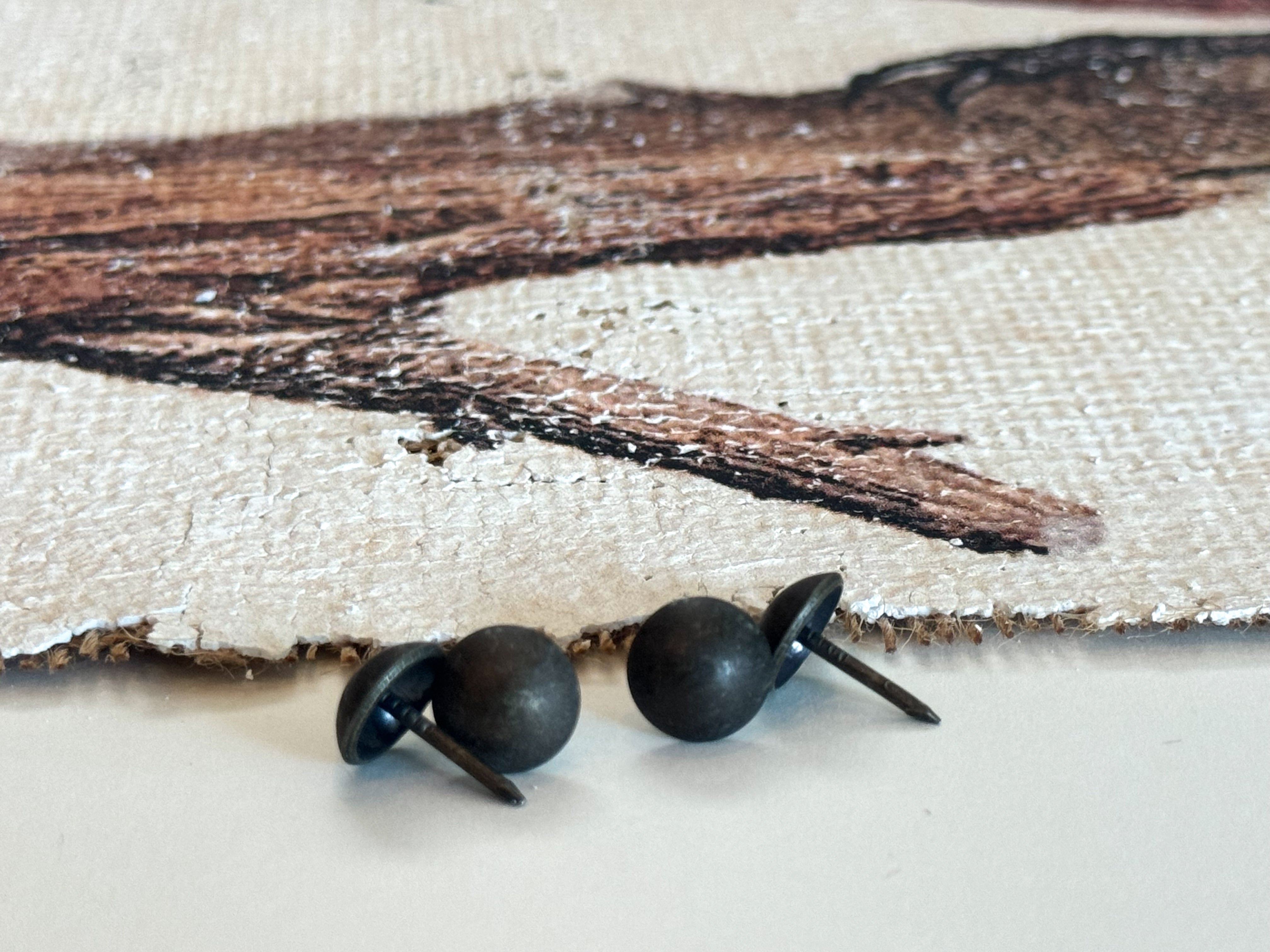 Red and Black Bird - Crimson Perch