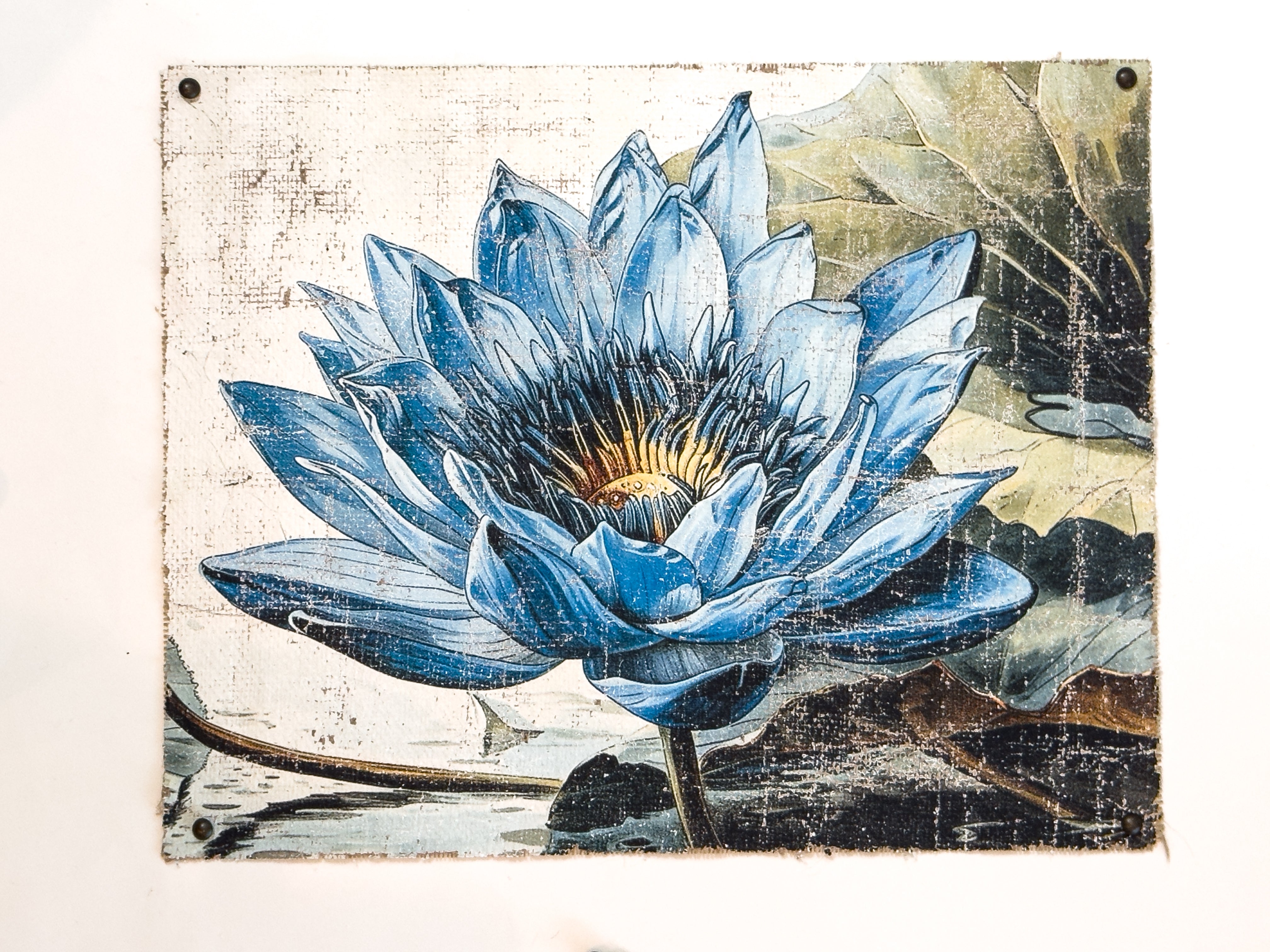 Secrets of the Lotus