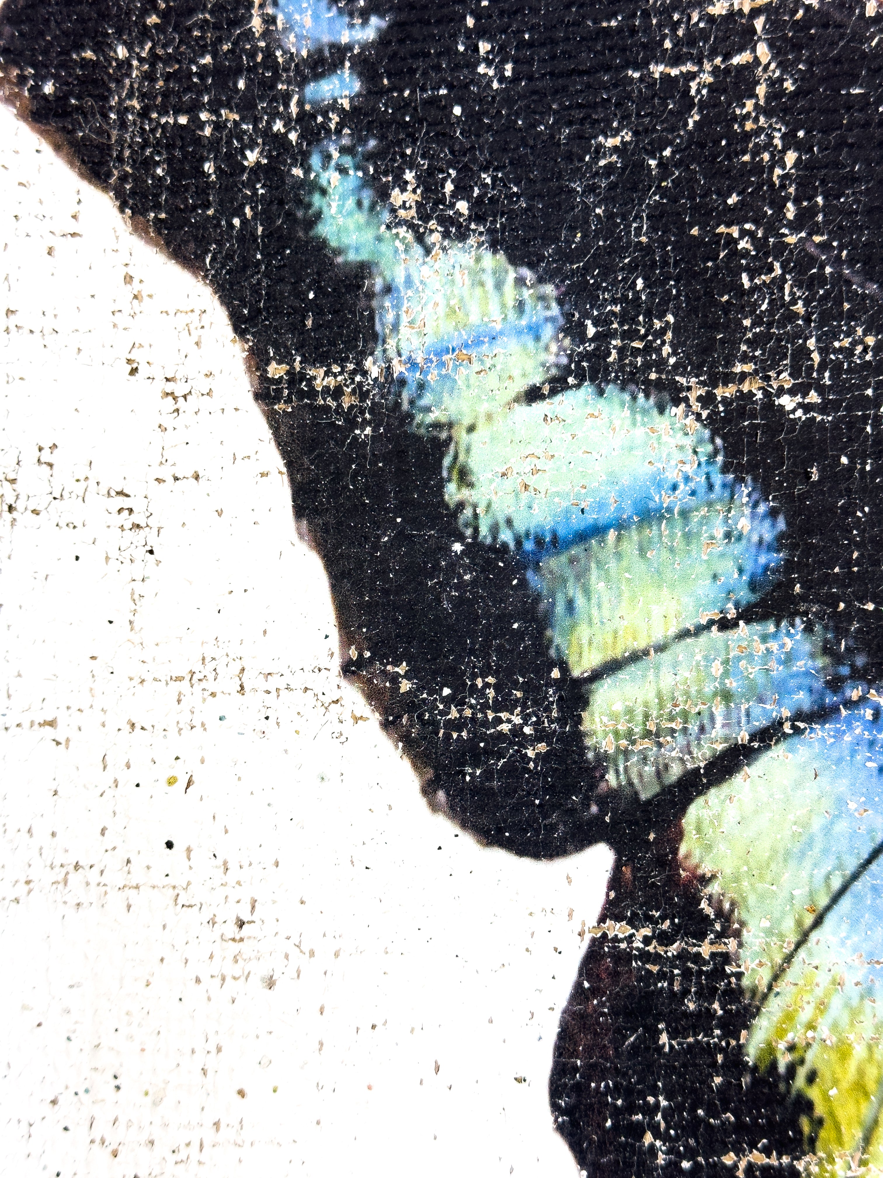 Blue Green Butterfly