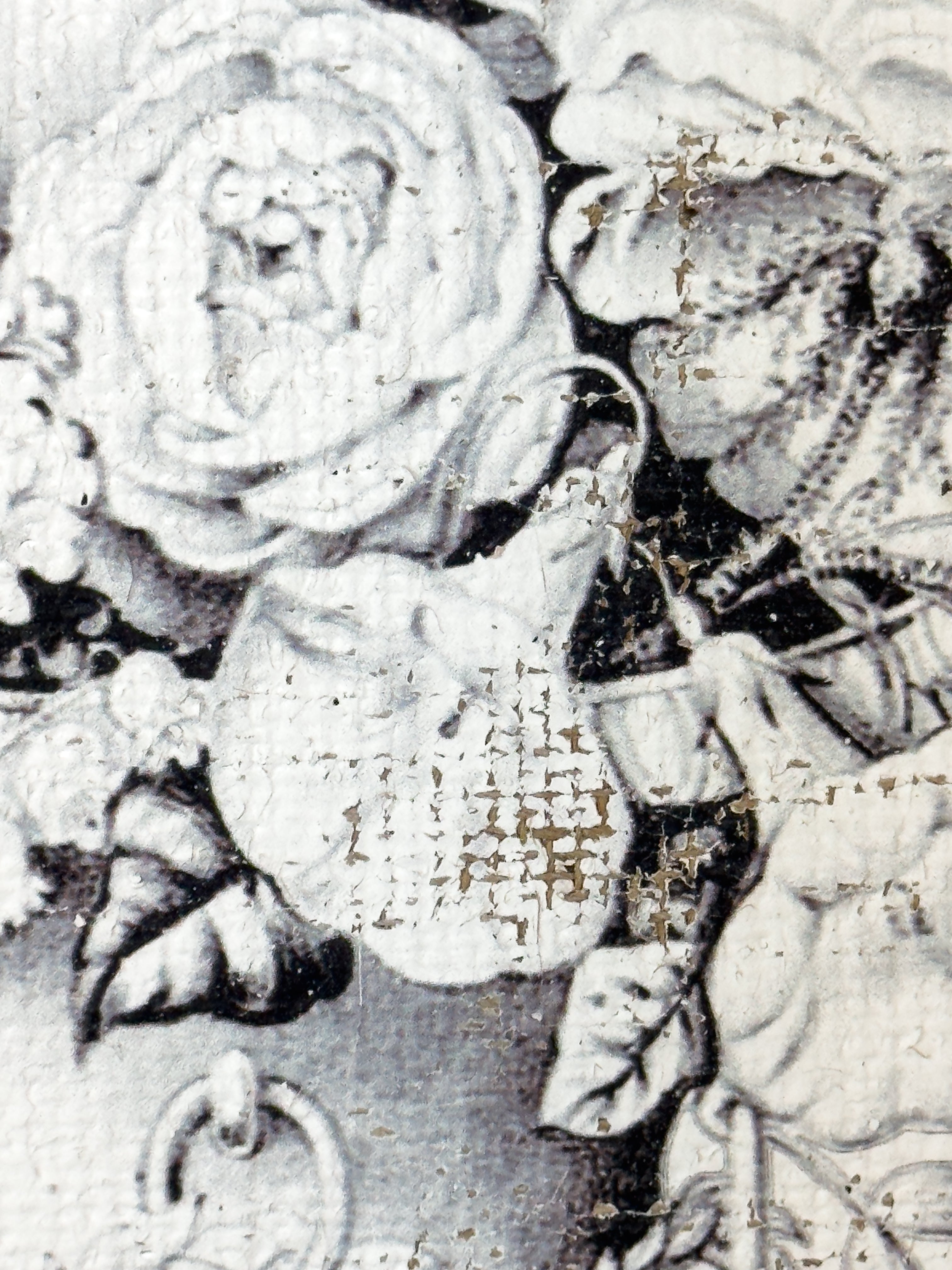 Black and Blanc Opulence