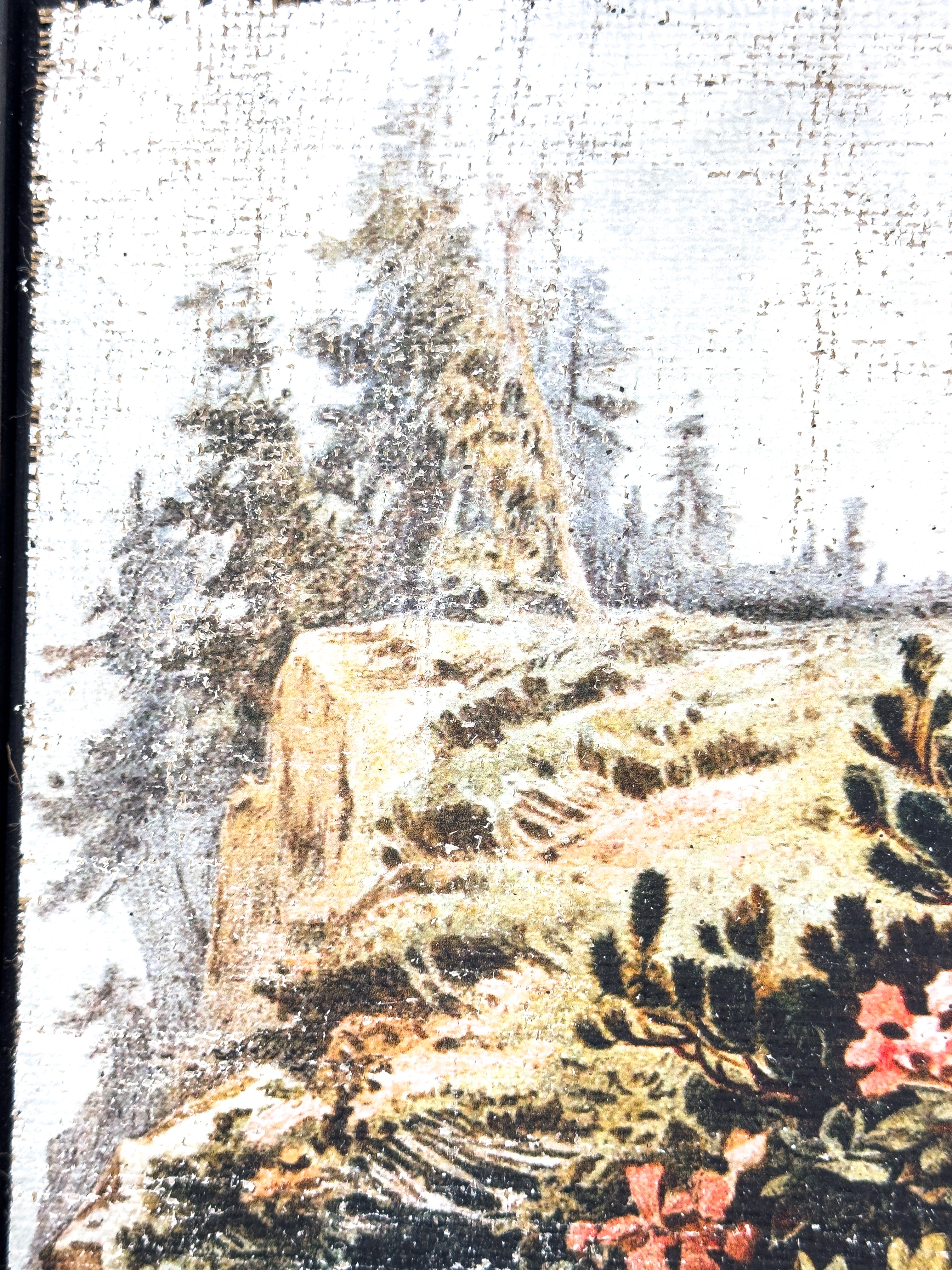 Pink Flowers on a Cliffside