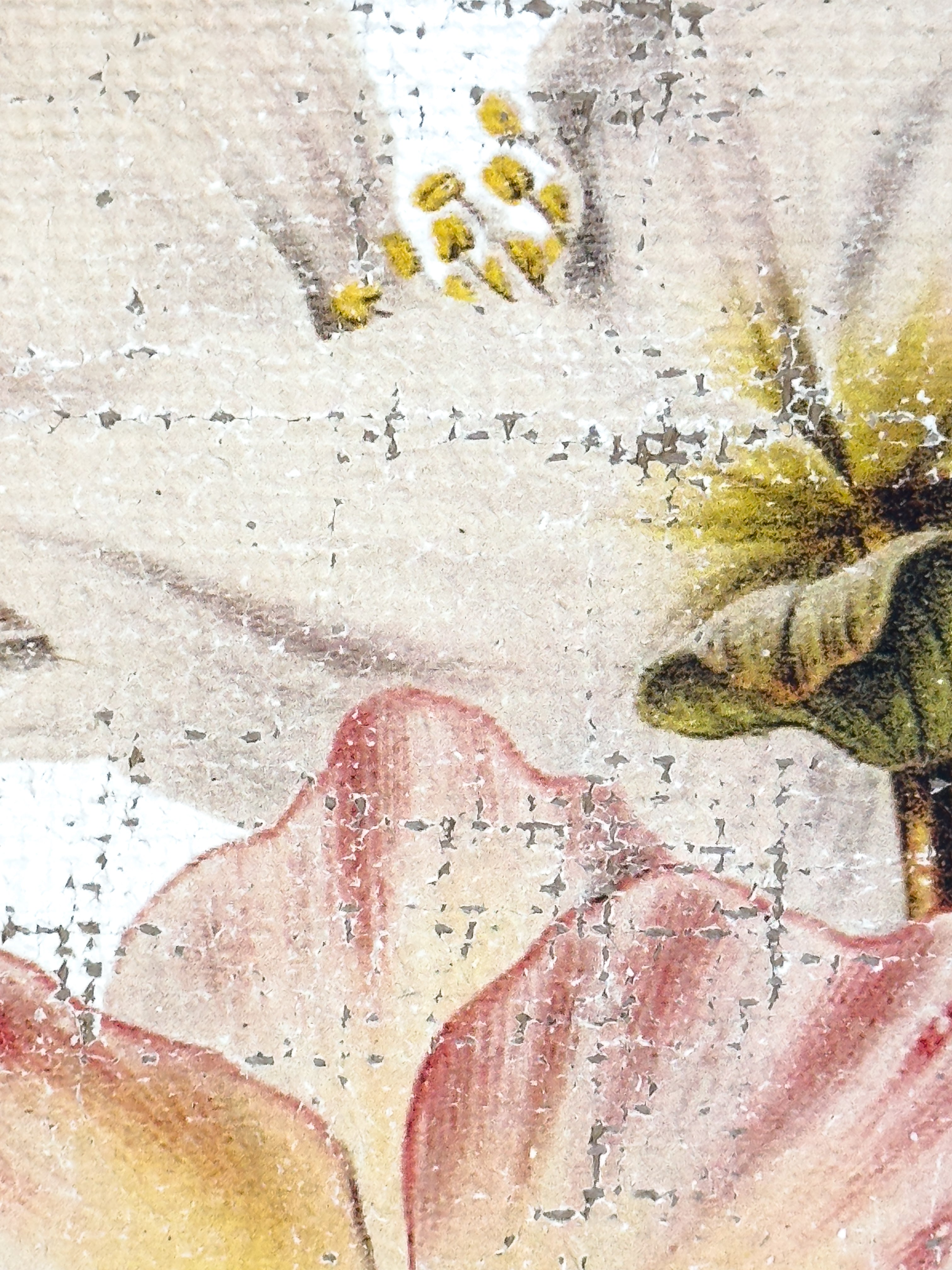 Pink and Cream Flowers - Winter's Jewel