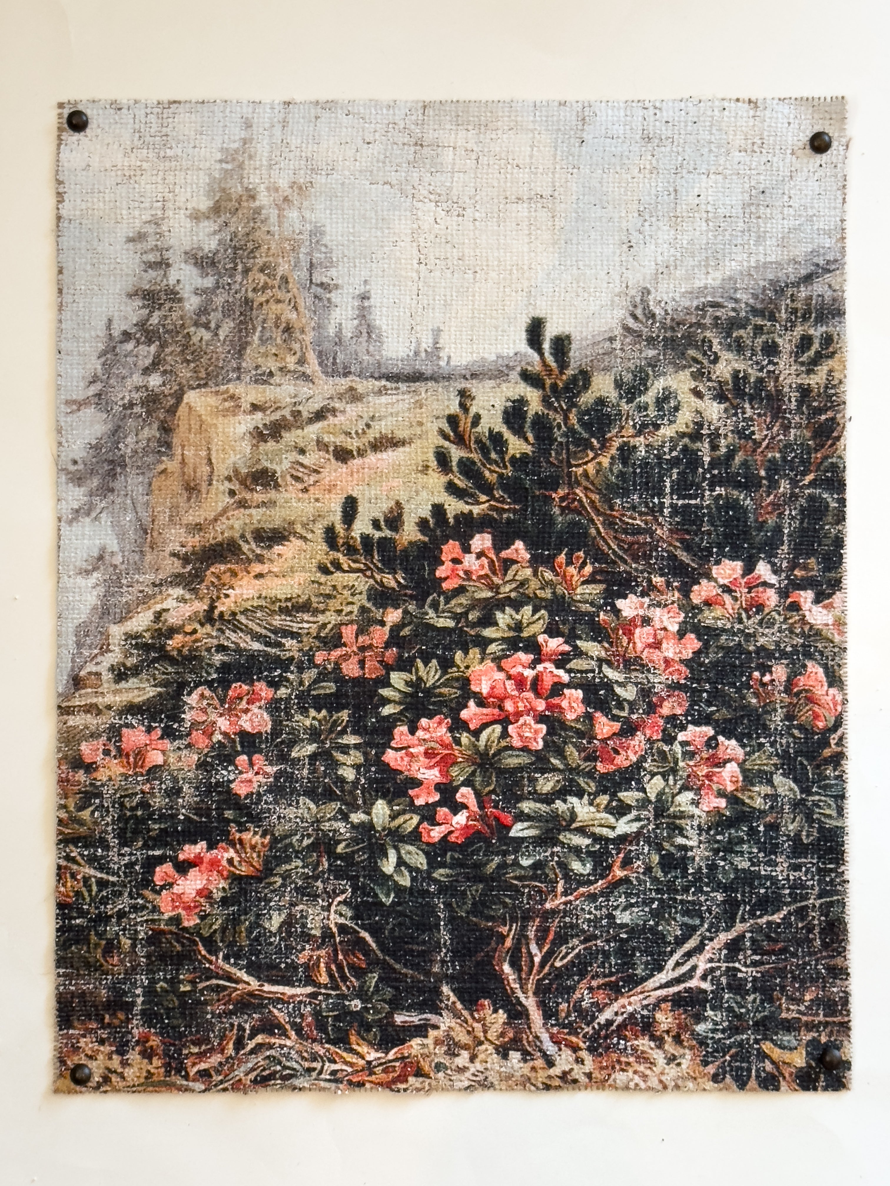 Pink Flowers on a Cliffside