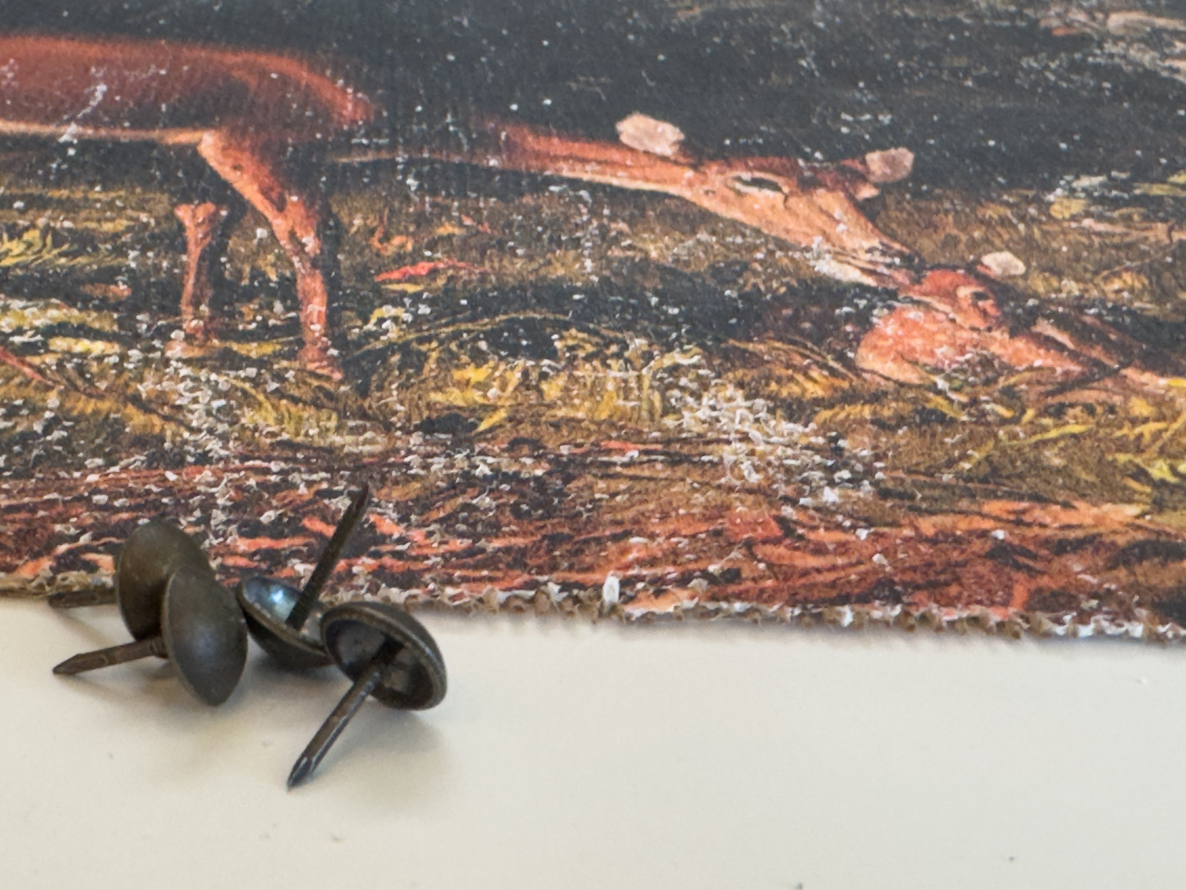 Mother and Fawn in Forest