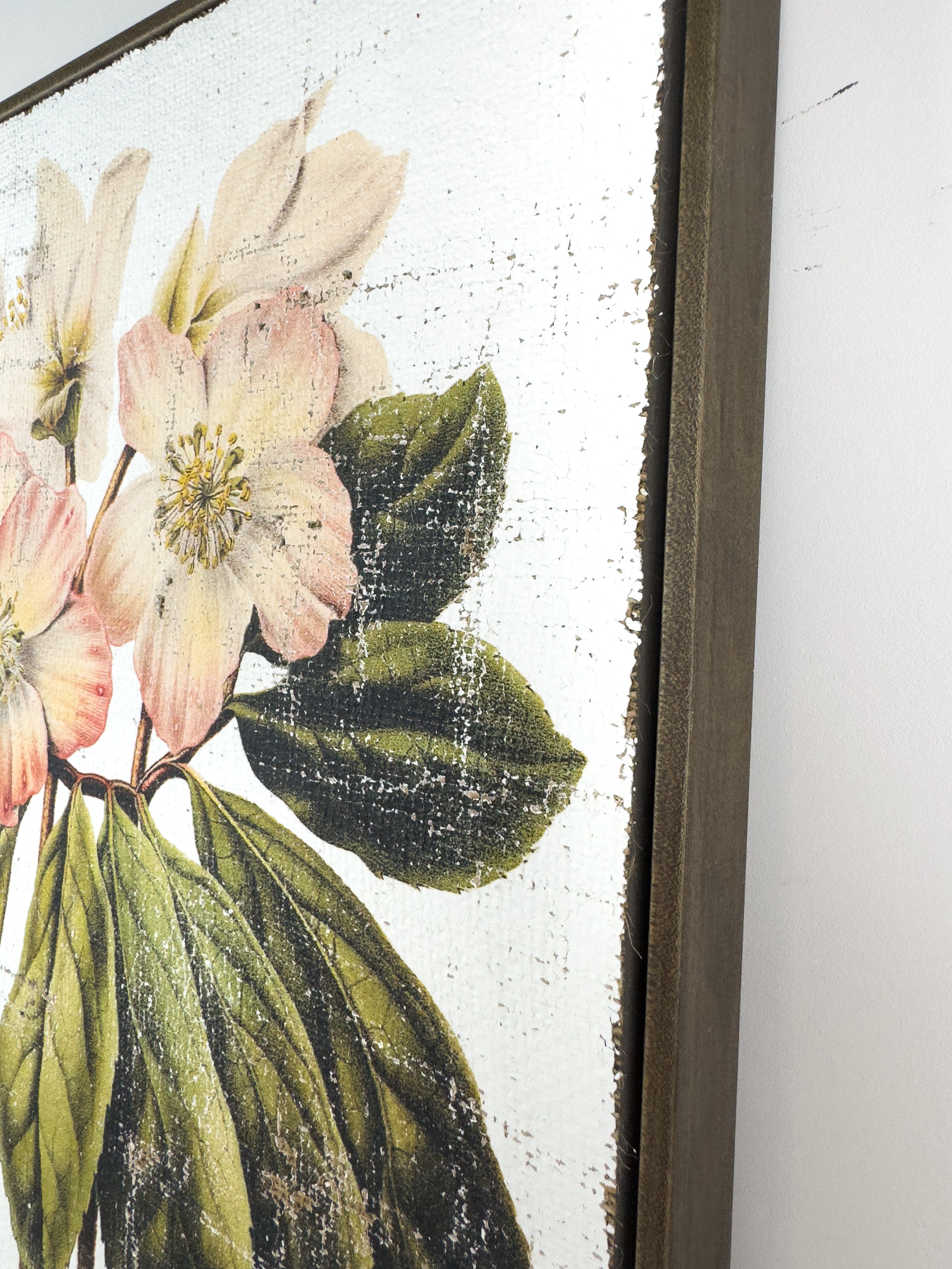 Pink and Cream Flowers - Winter's Jewel