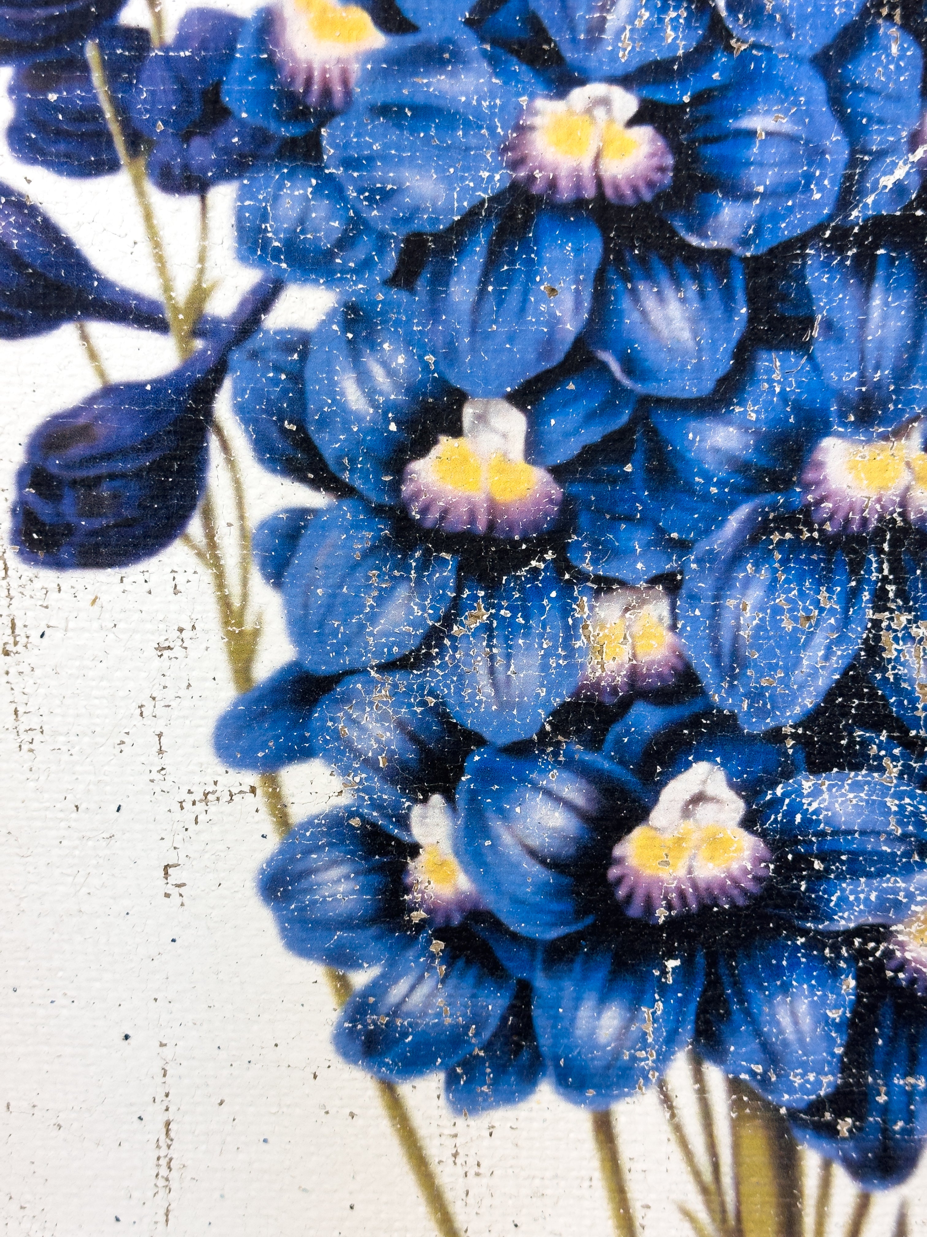 Blue Flowers of Radiance