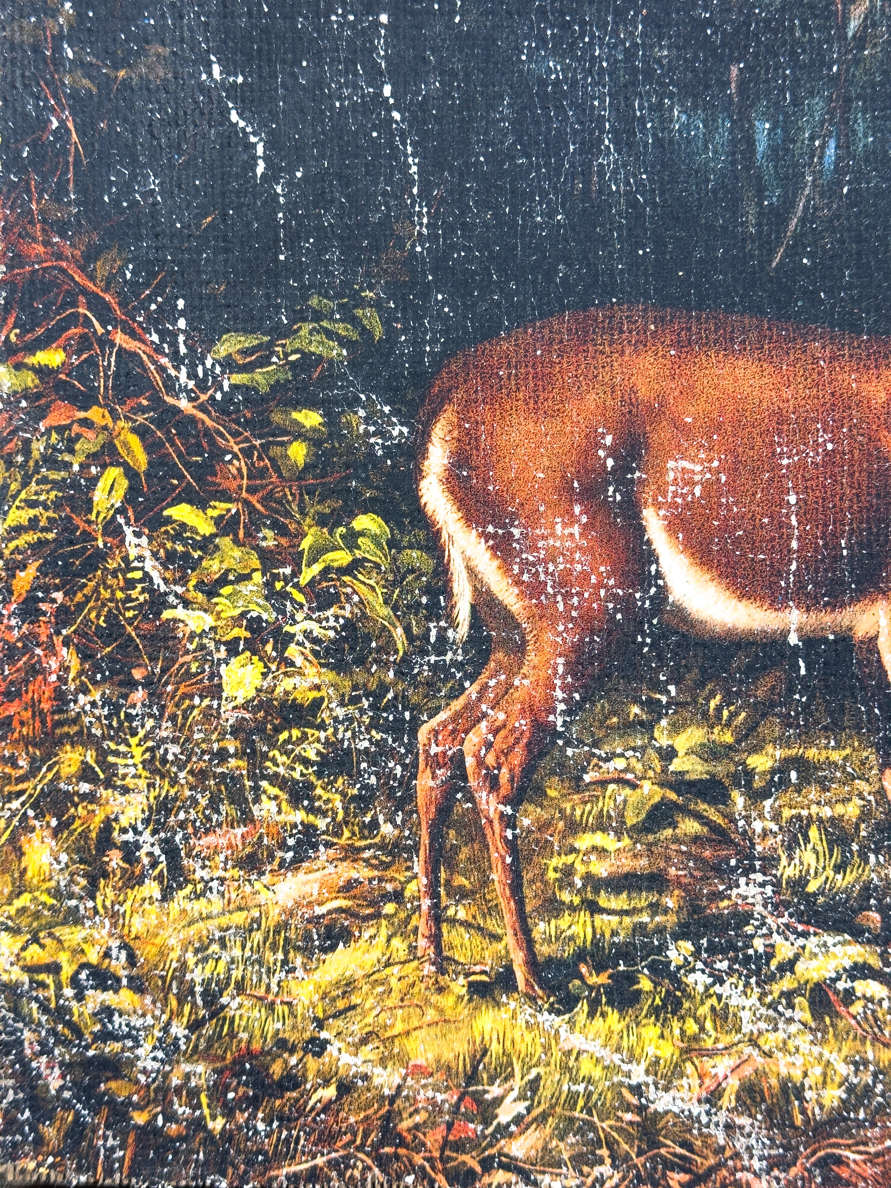 Mother and Fawn in Forest