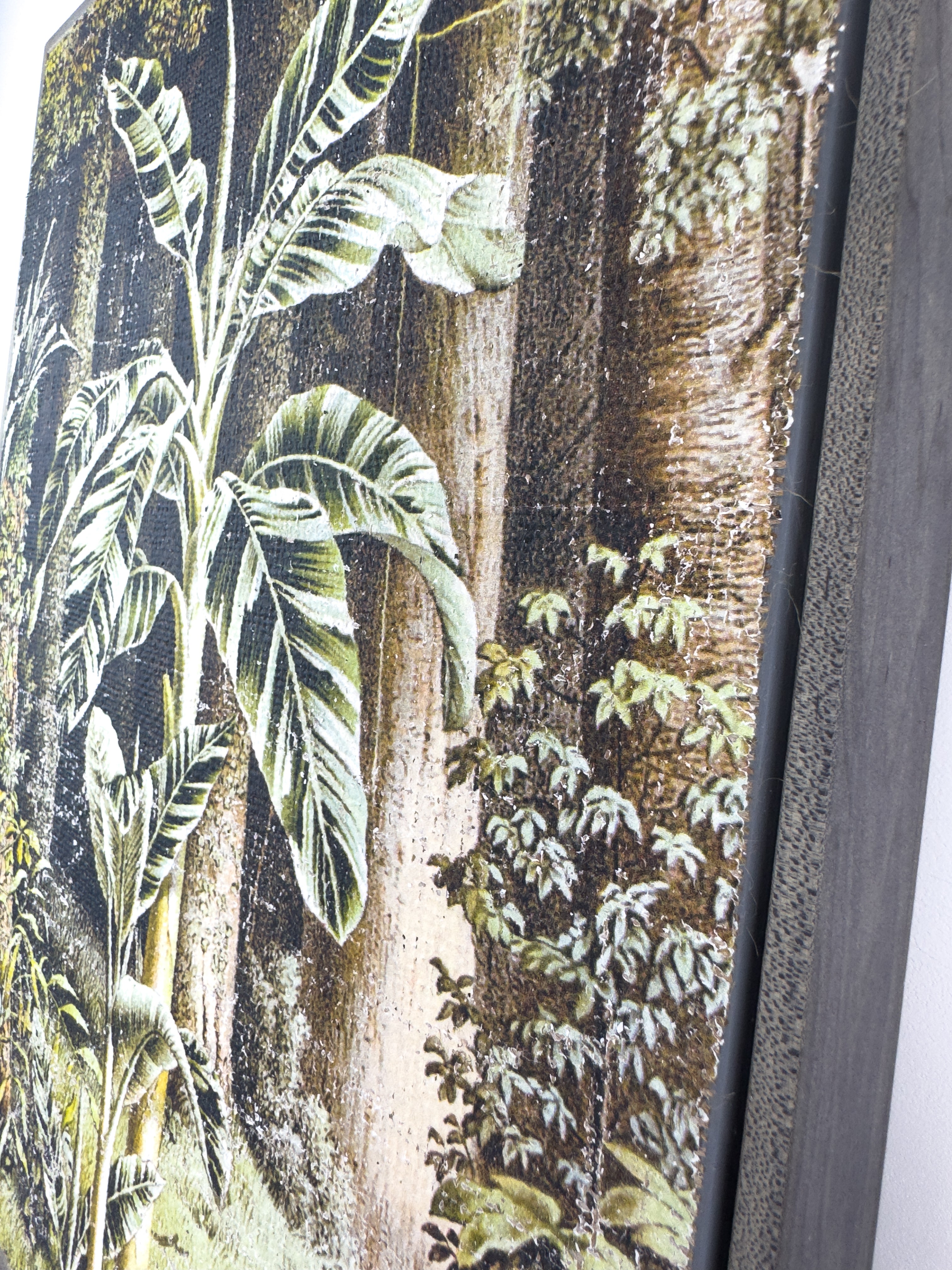 In the Shade of Green