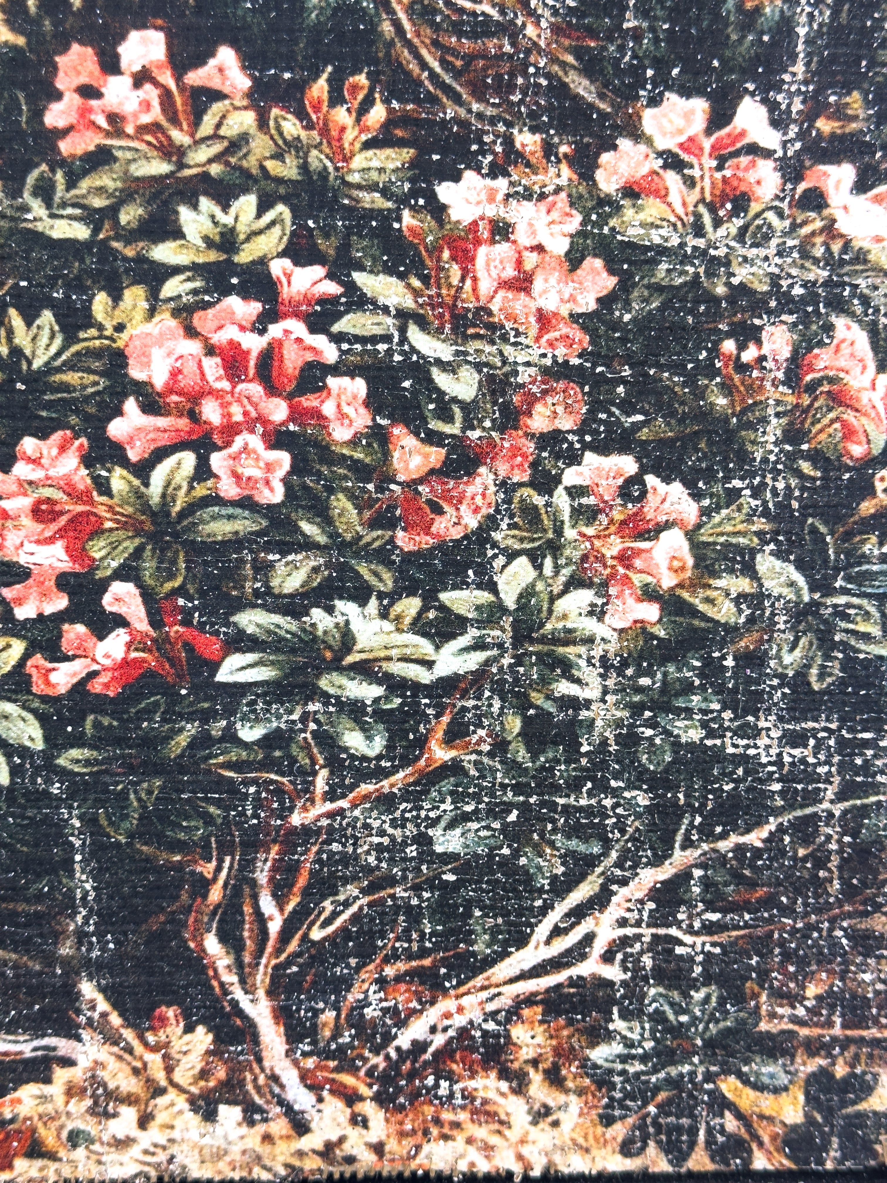 Pink Flowers on a Cliffside