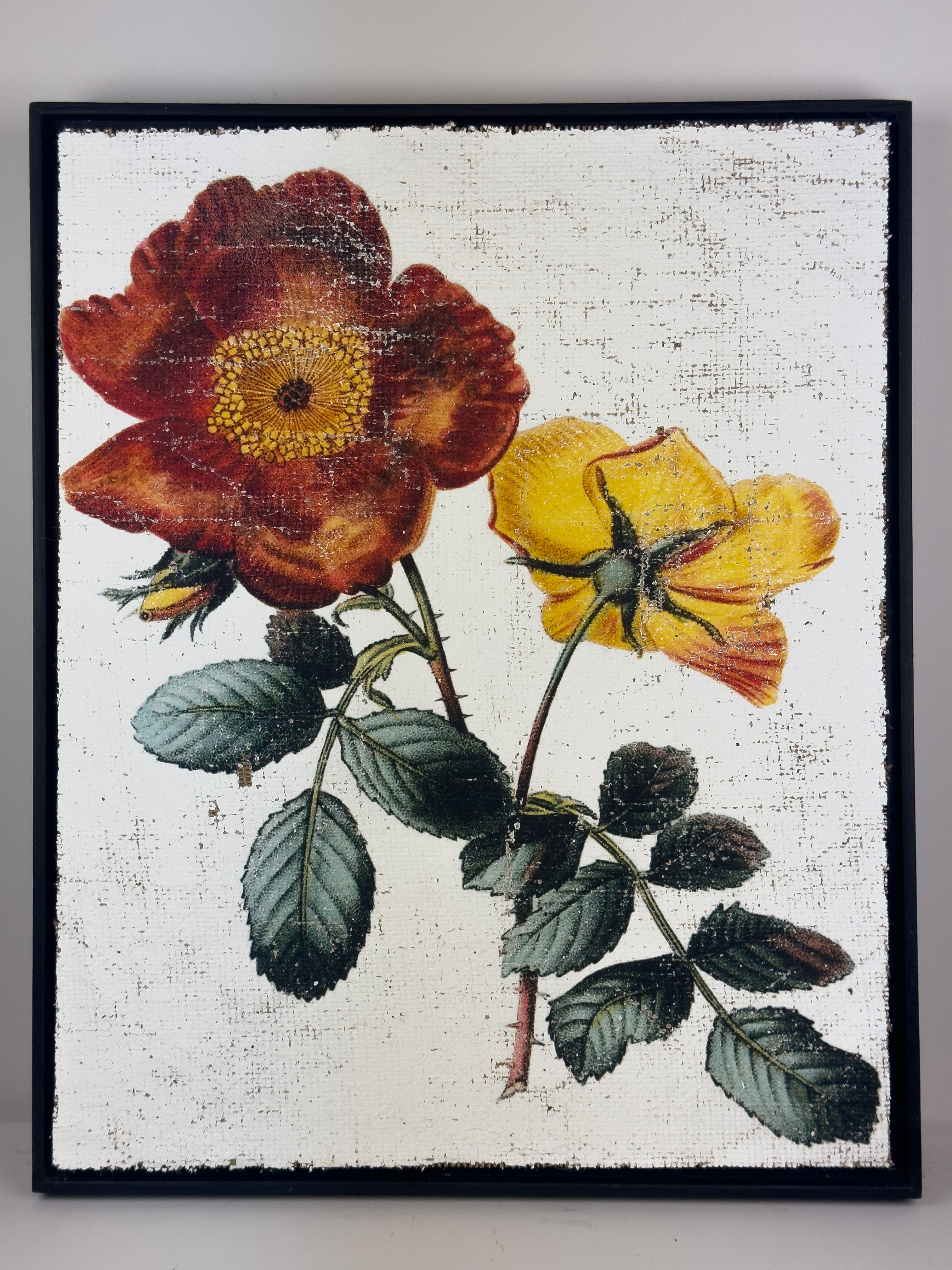 Red and Yellow Roses