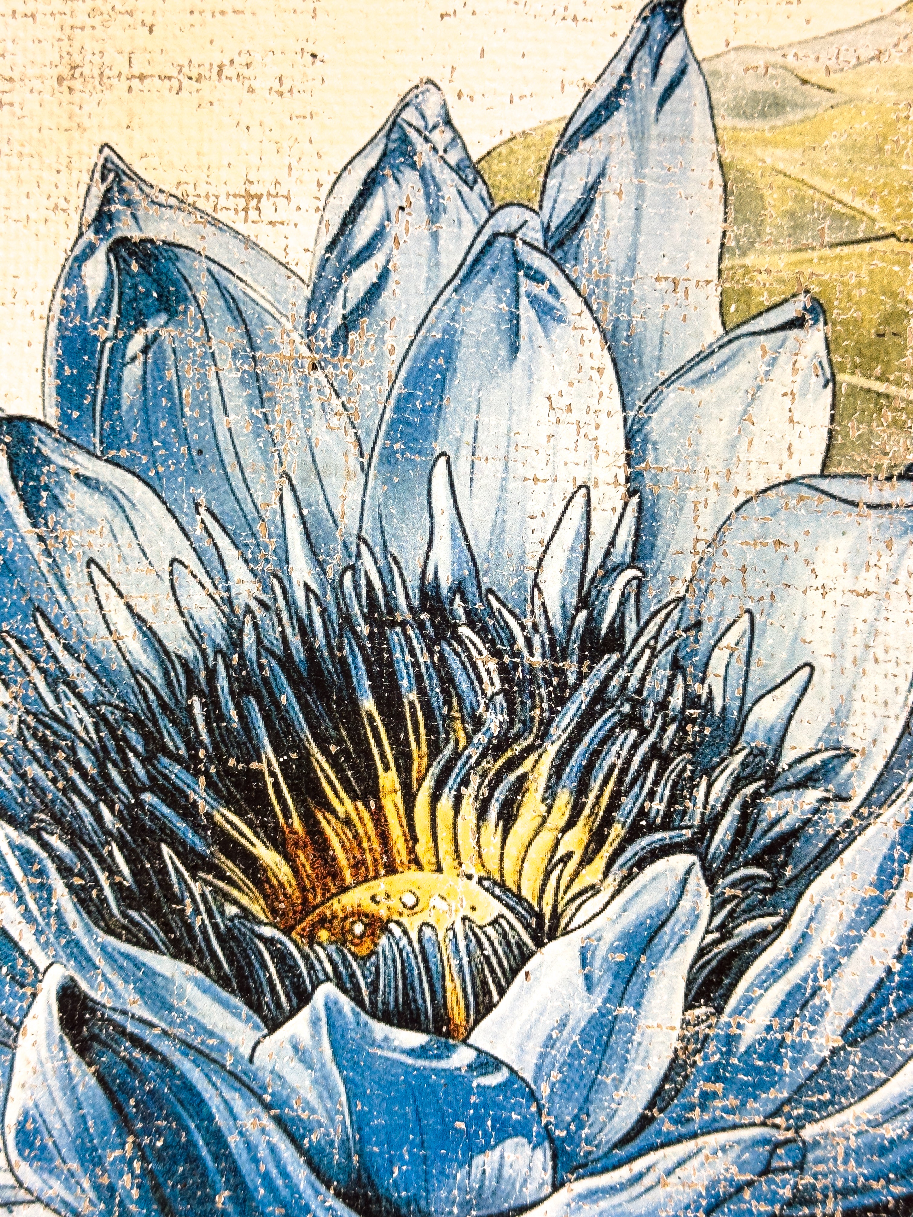 Secrets of the Lotus