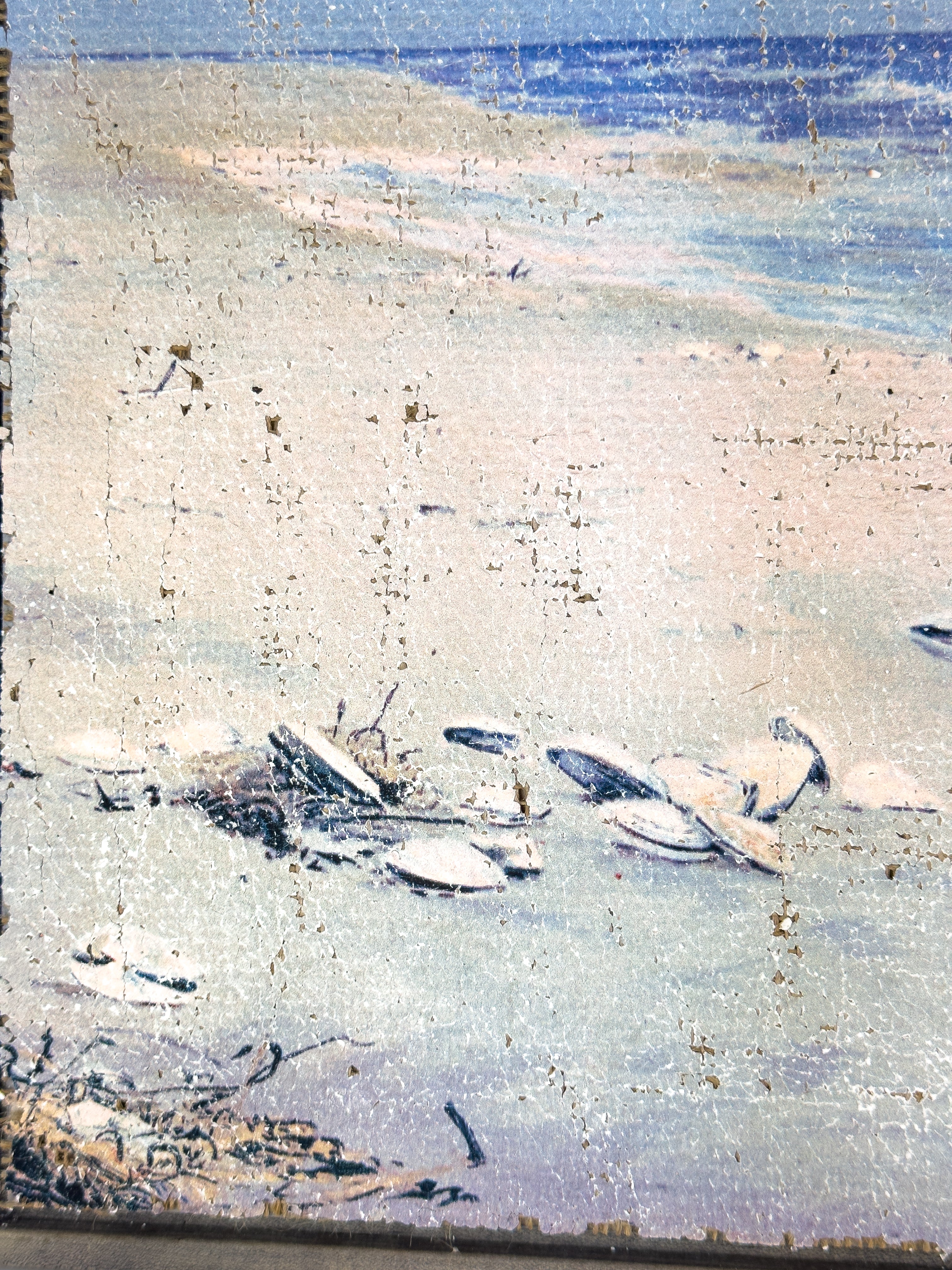 Coastal Beach Day - Where the Gulls Lead