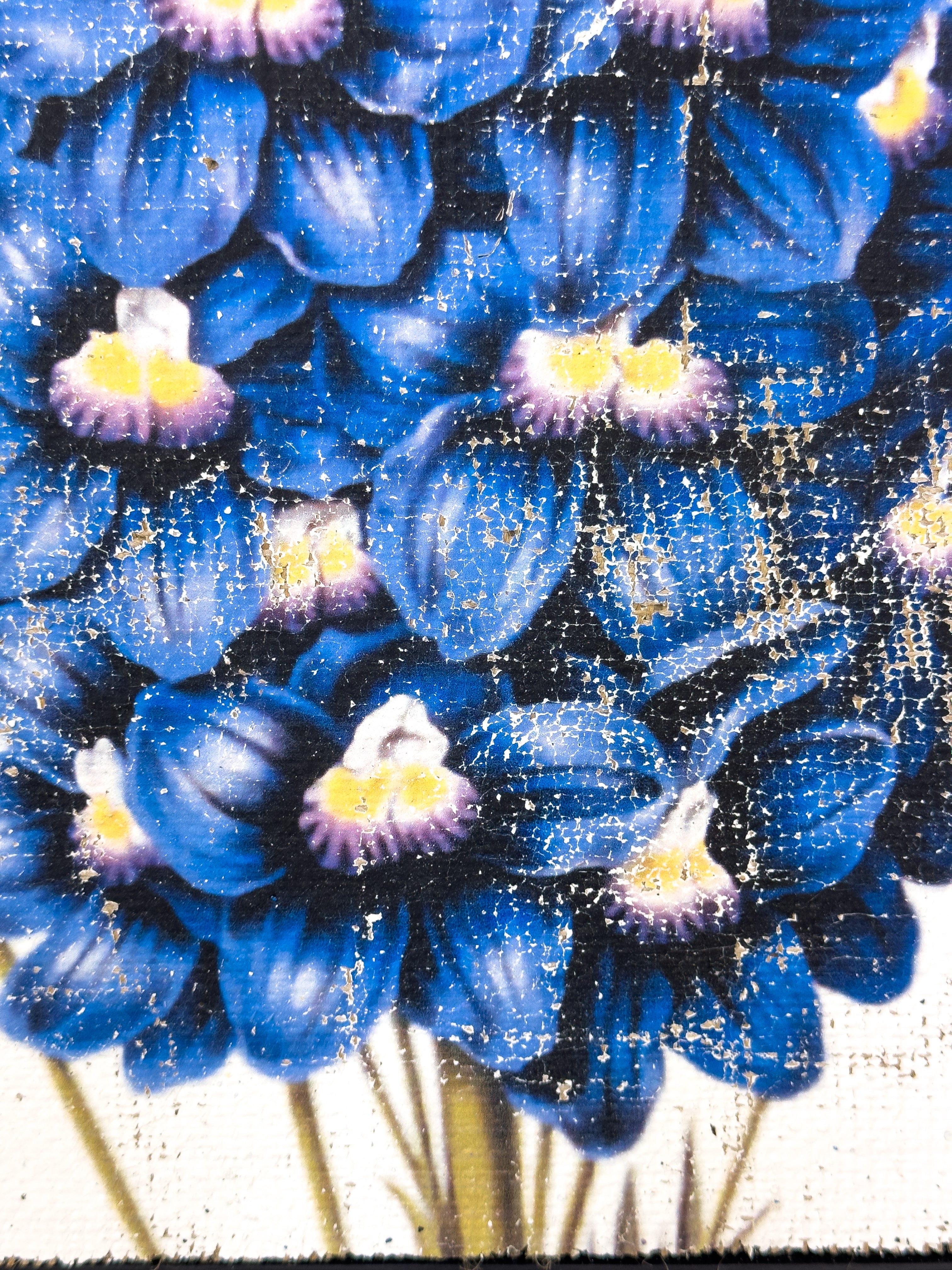 Blue Flowers of Radiance