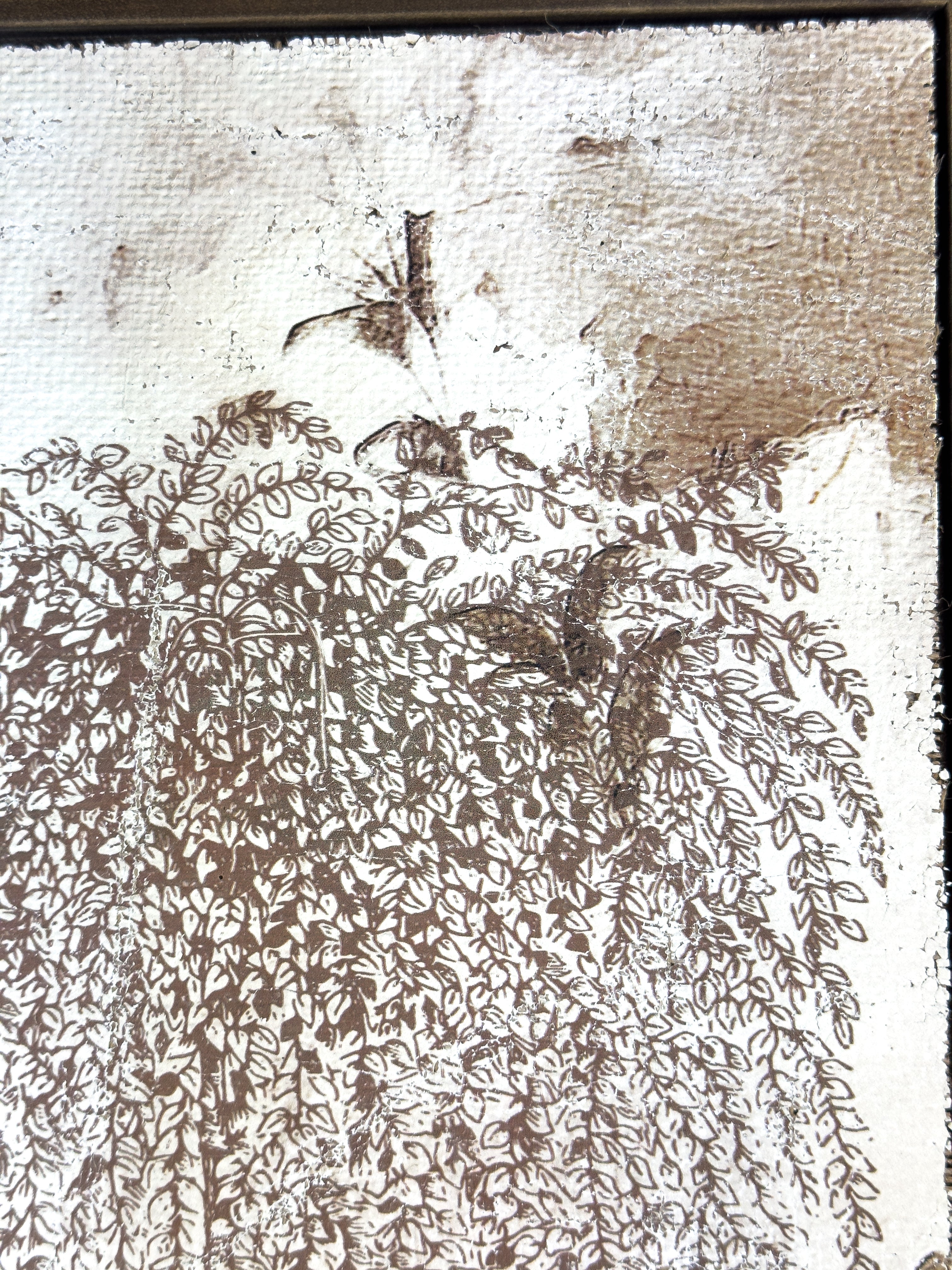 Weeping Willow - Branches of Fate