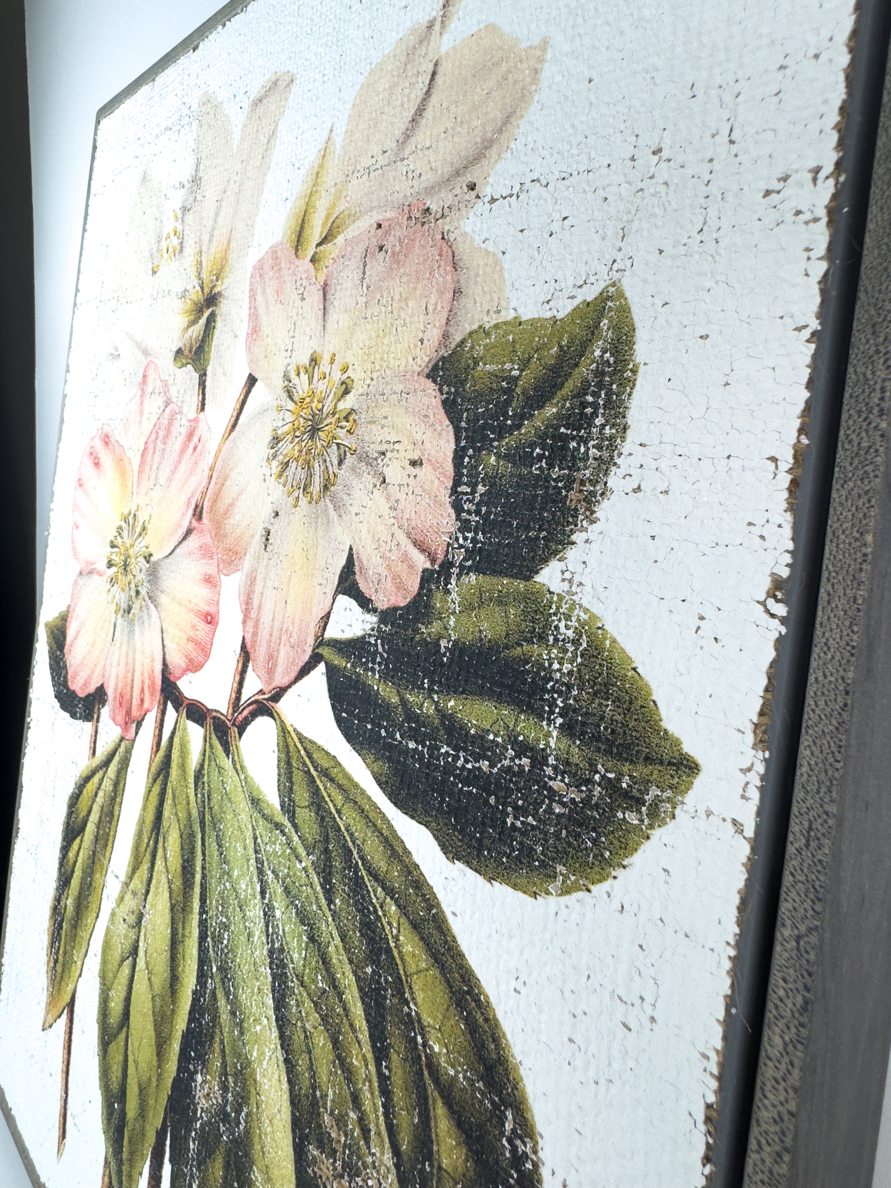 Pink and Cream Flowers - Winter's Jewel