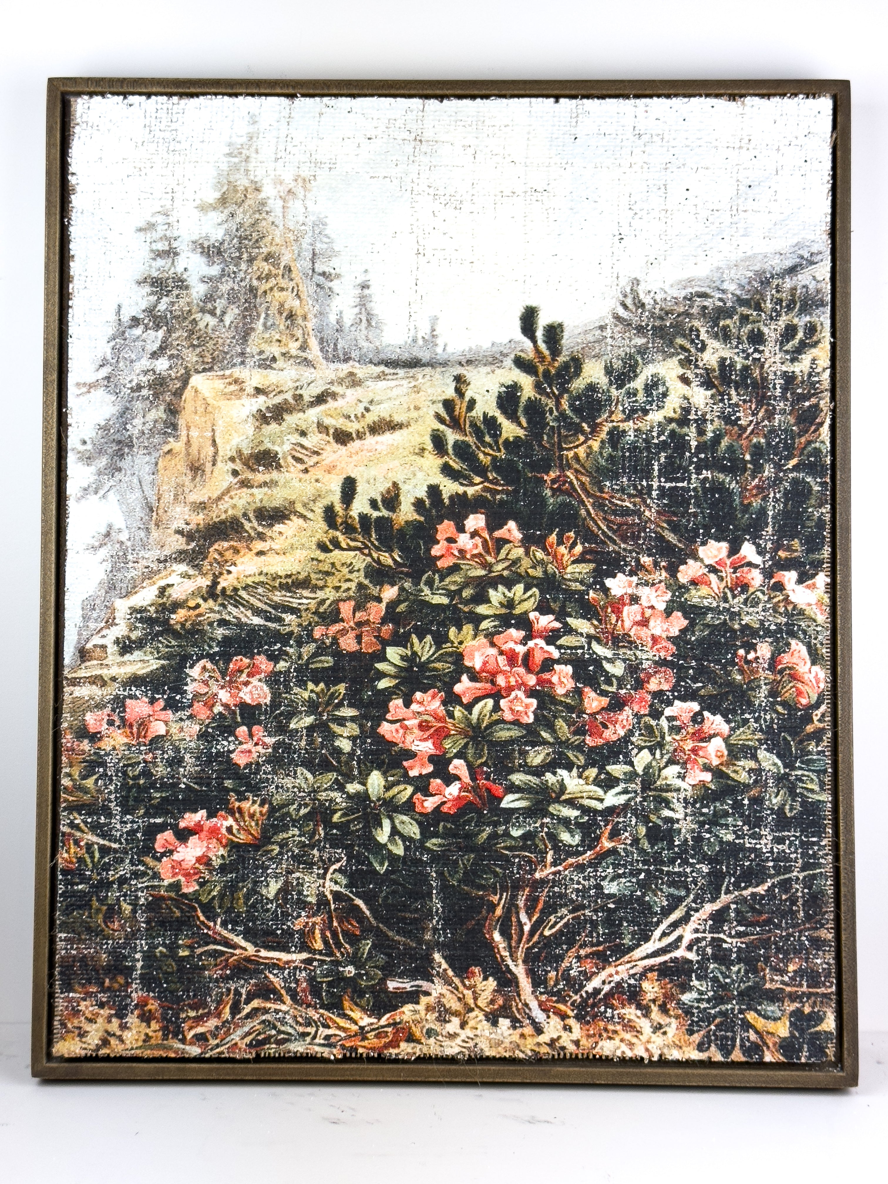 Pink Flowers on a Cliffside