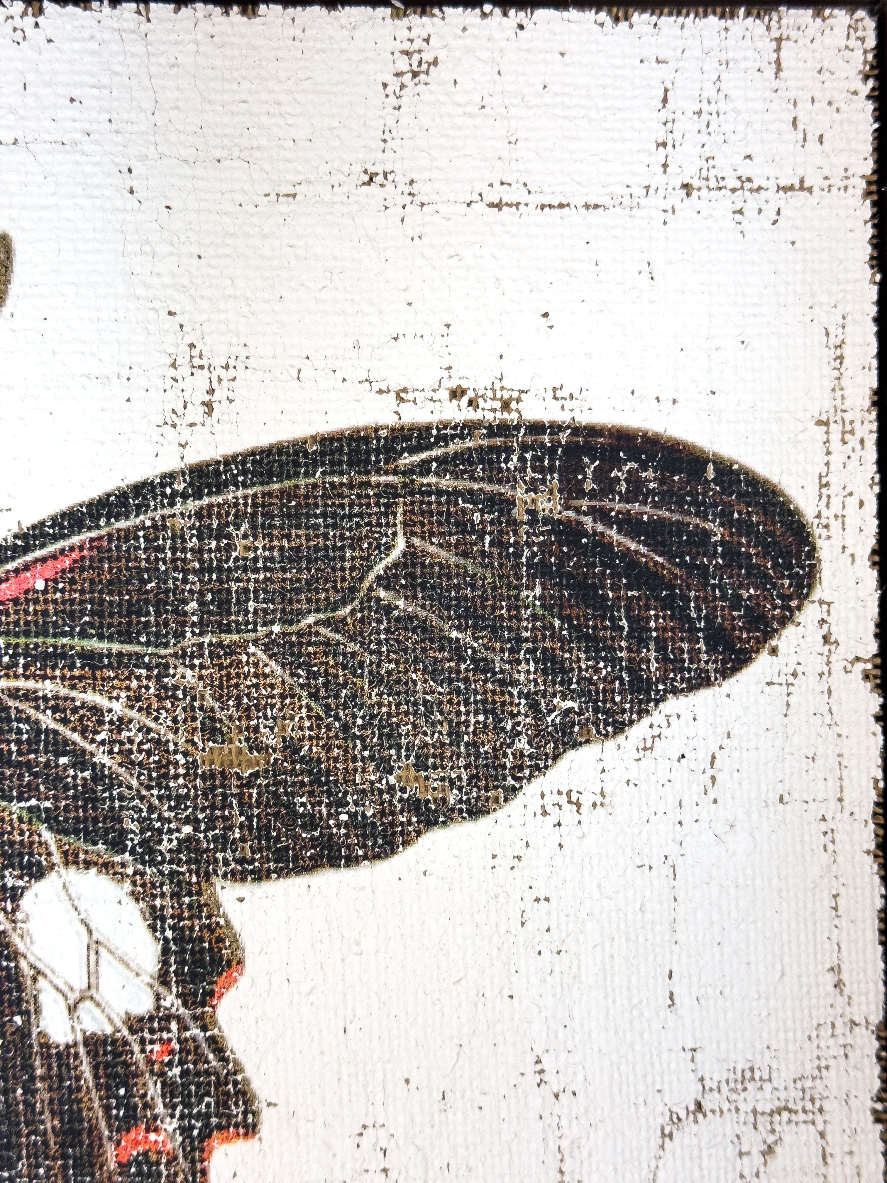 Swallowtail butterfly