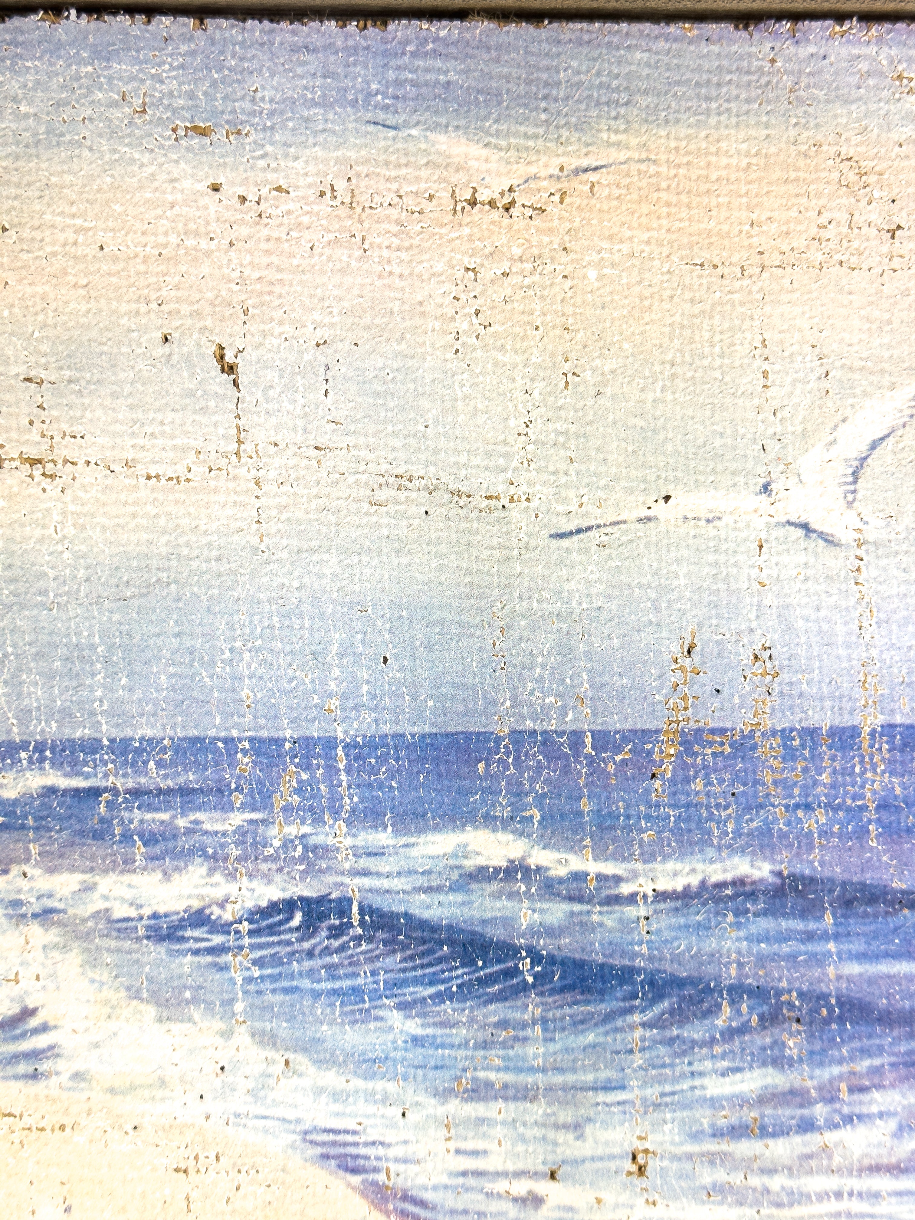 Coastal Beach Day - Where the Gulls Lead