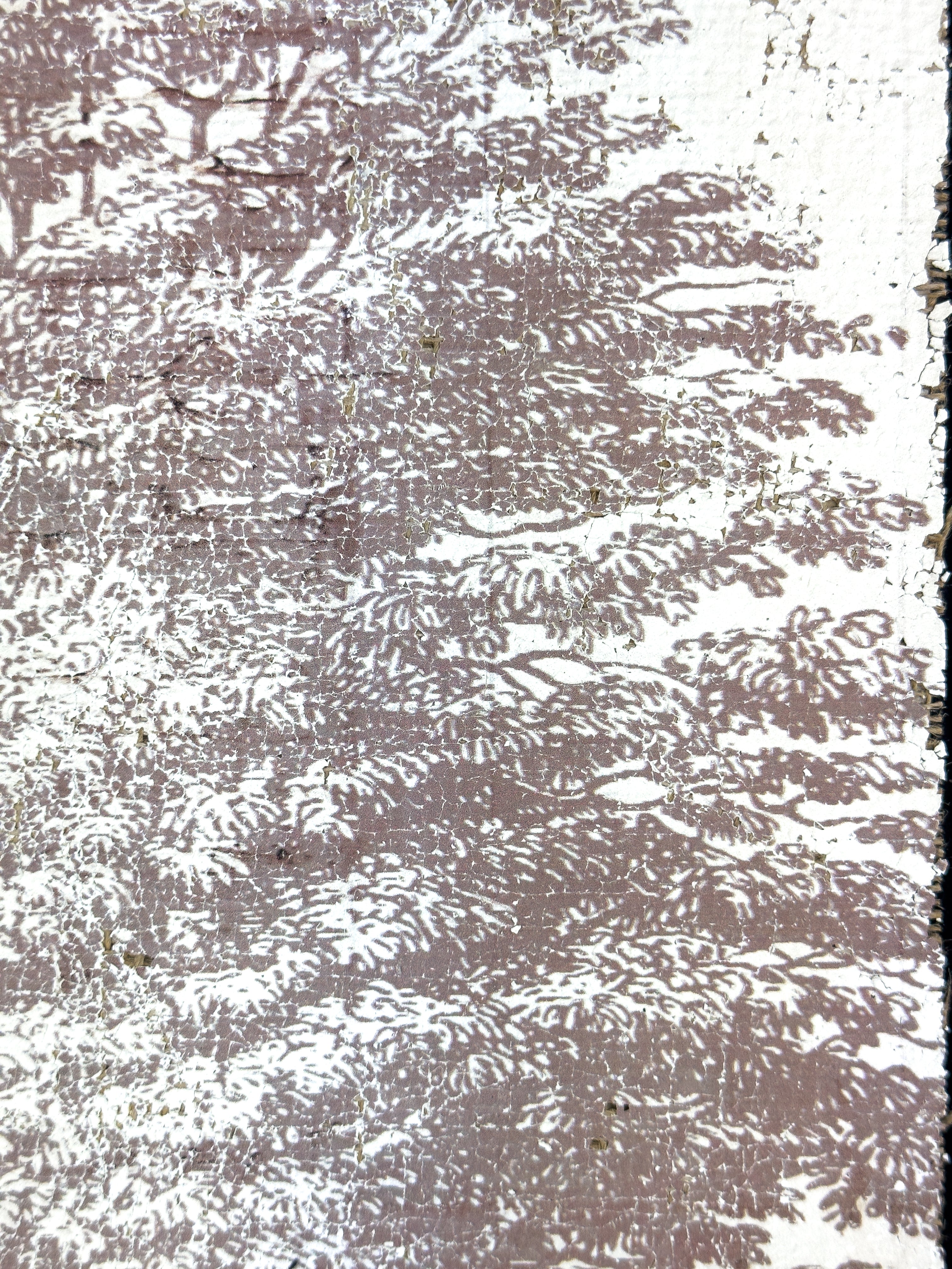 Vintage Ash Tree - Beneath the Ash