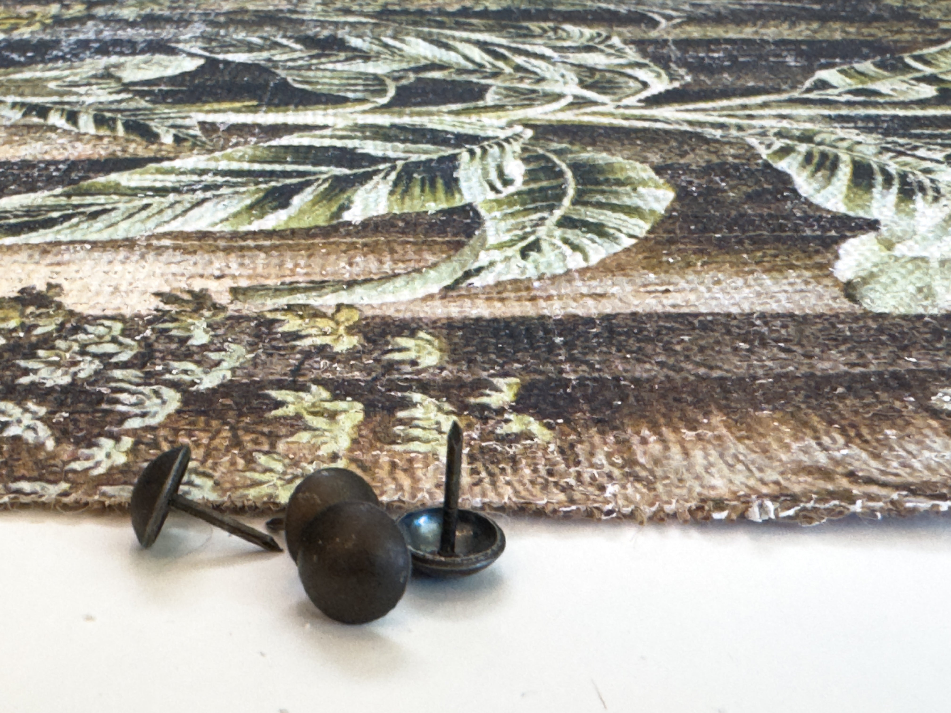 In the Shade of Green