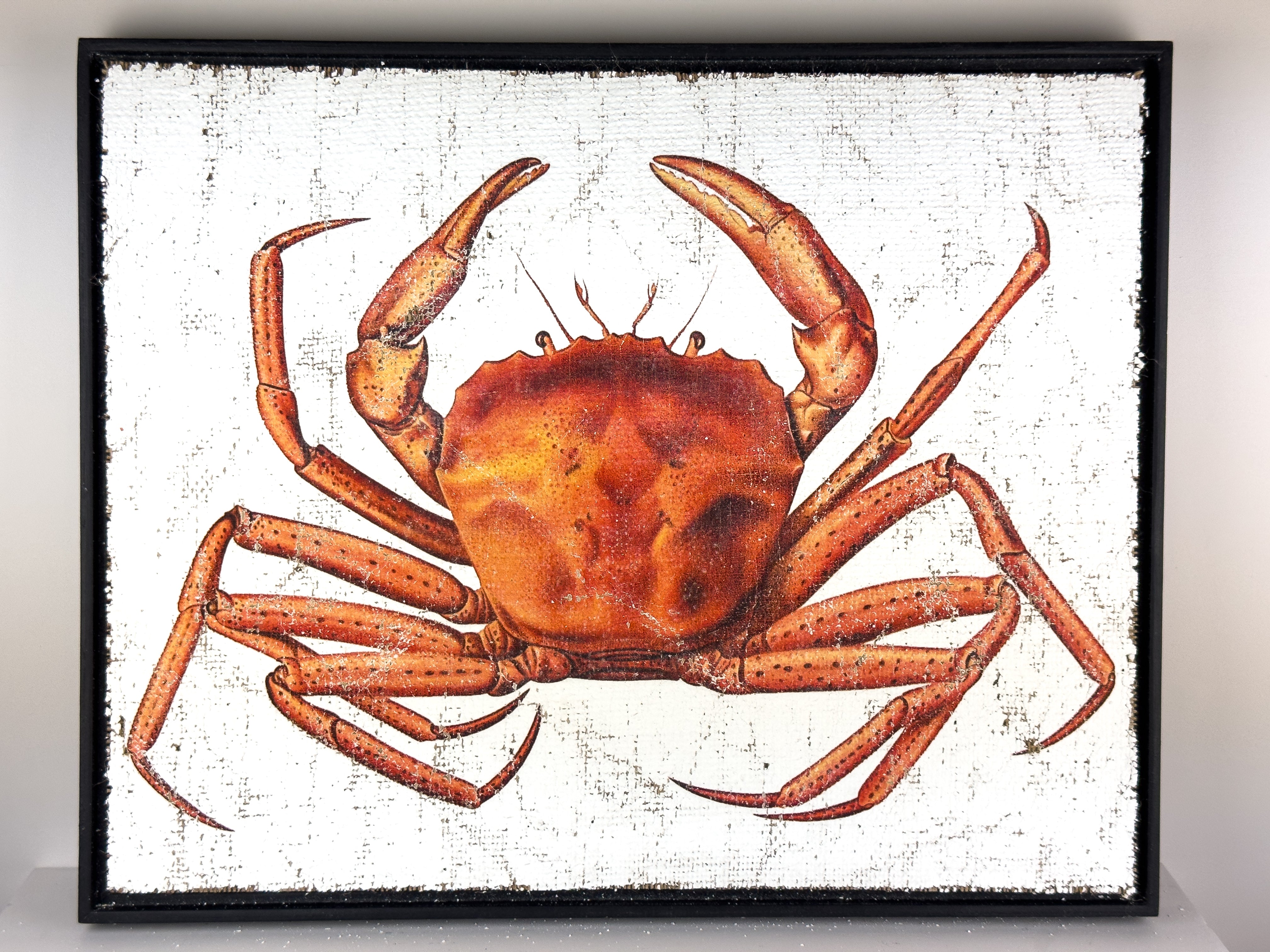 Red Crab