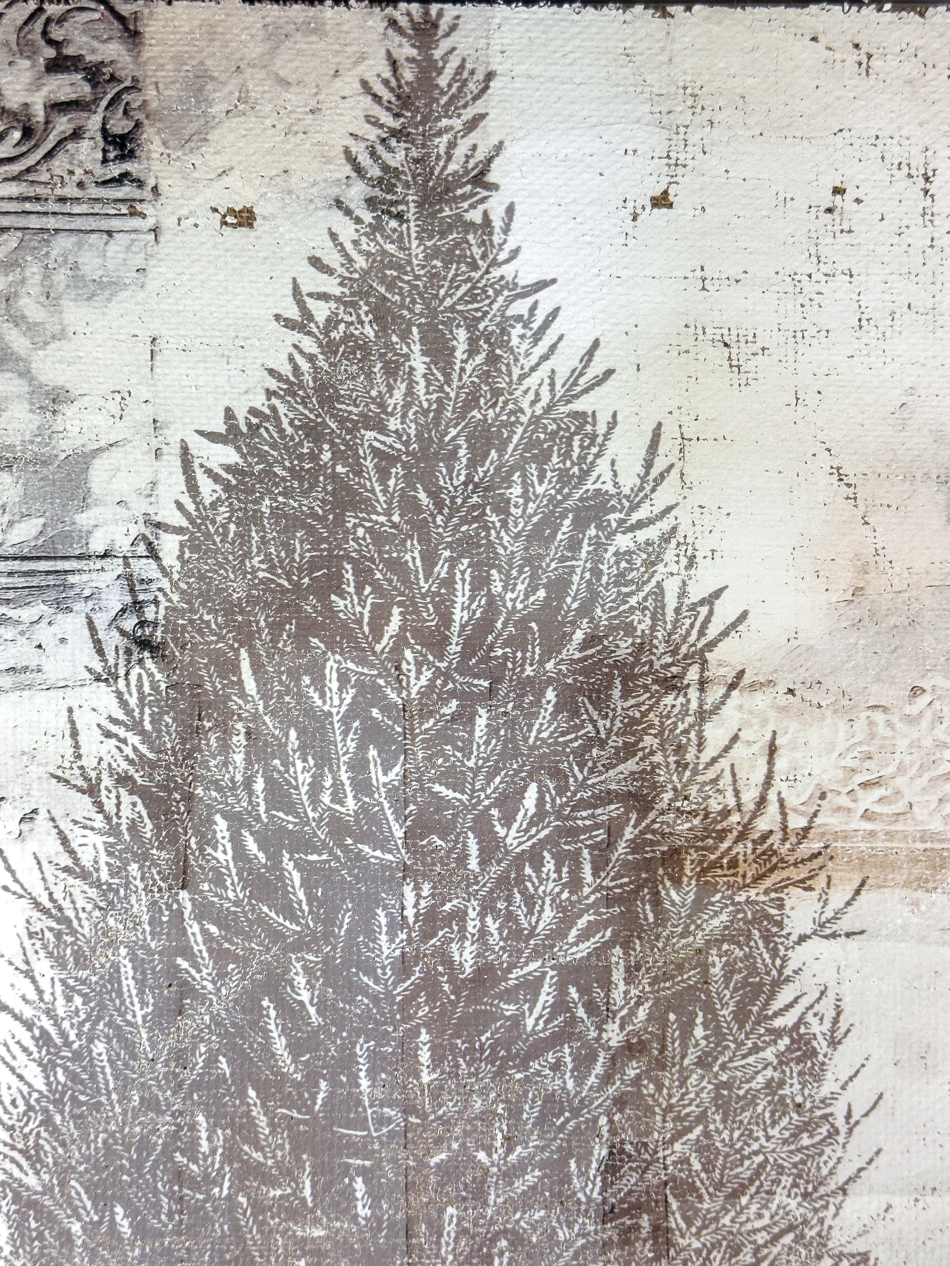 Fir Tree