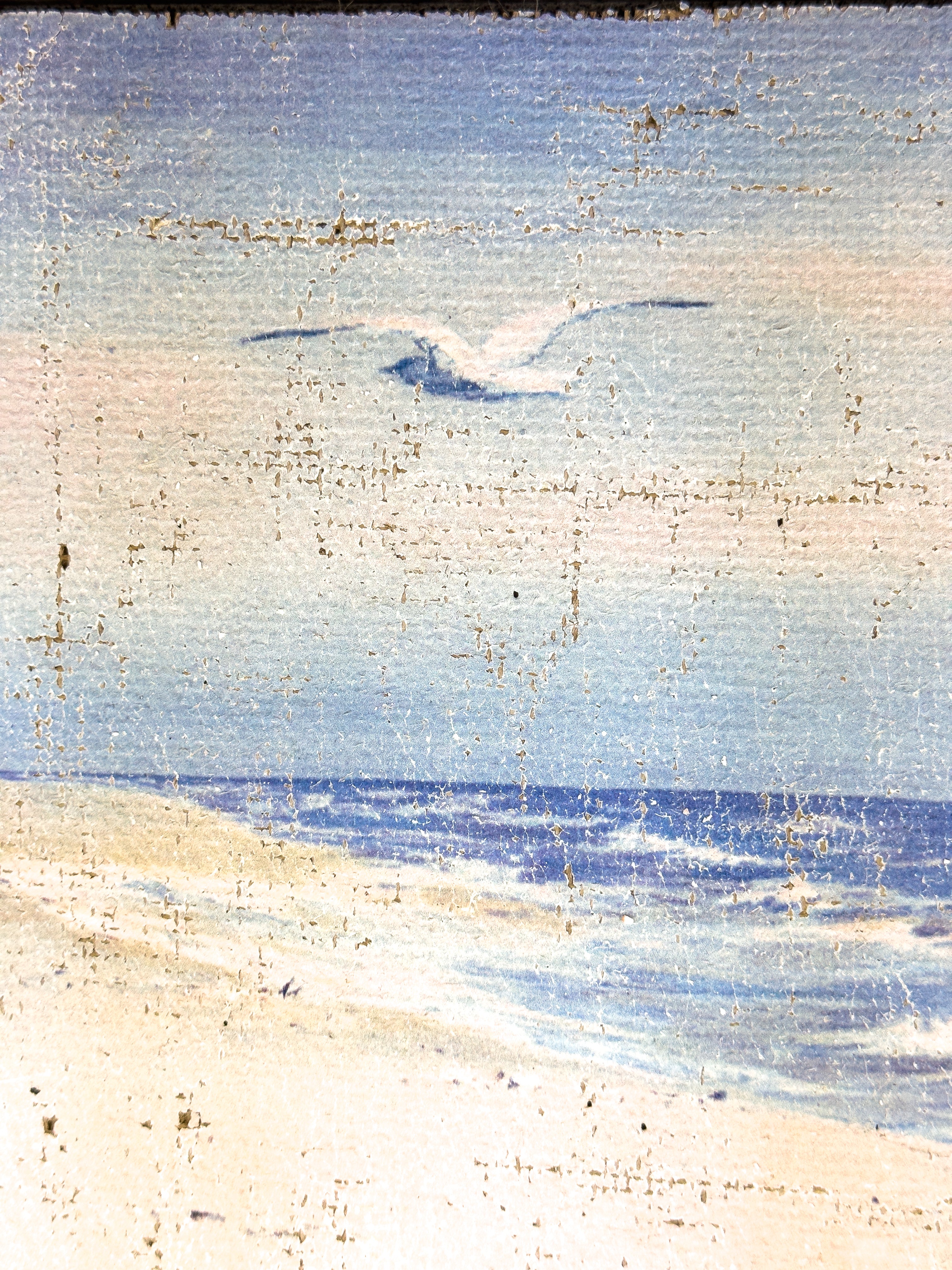 Coastal Beach Day - Where the Gulls Lead