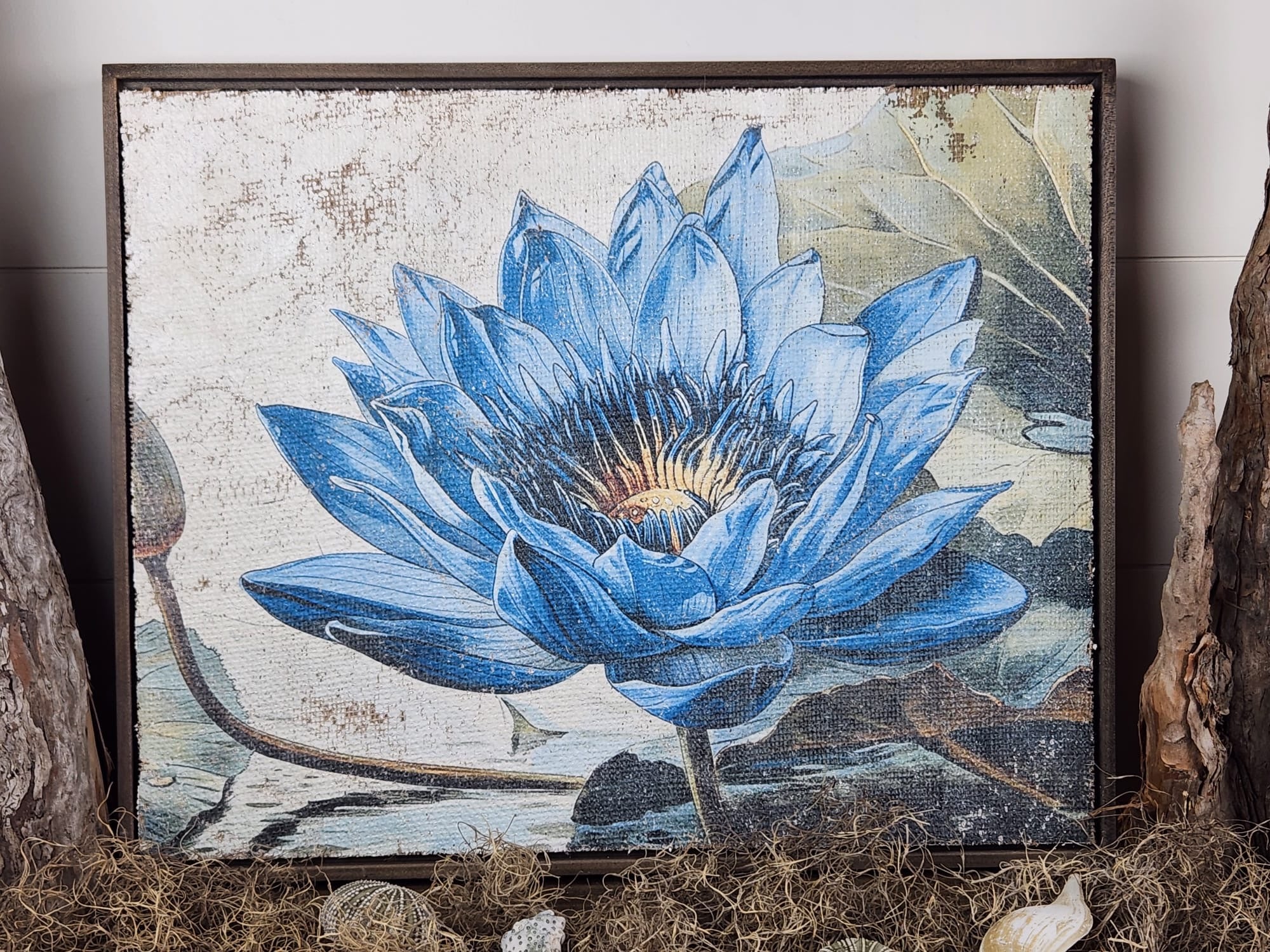 Secrets of the Lotus