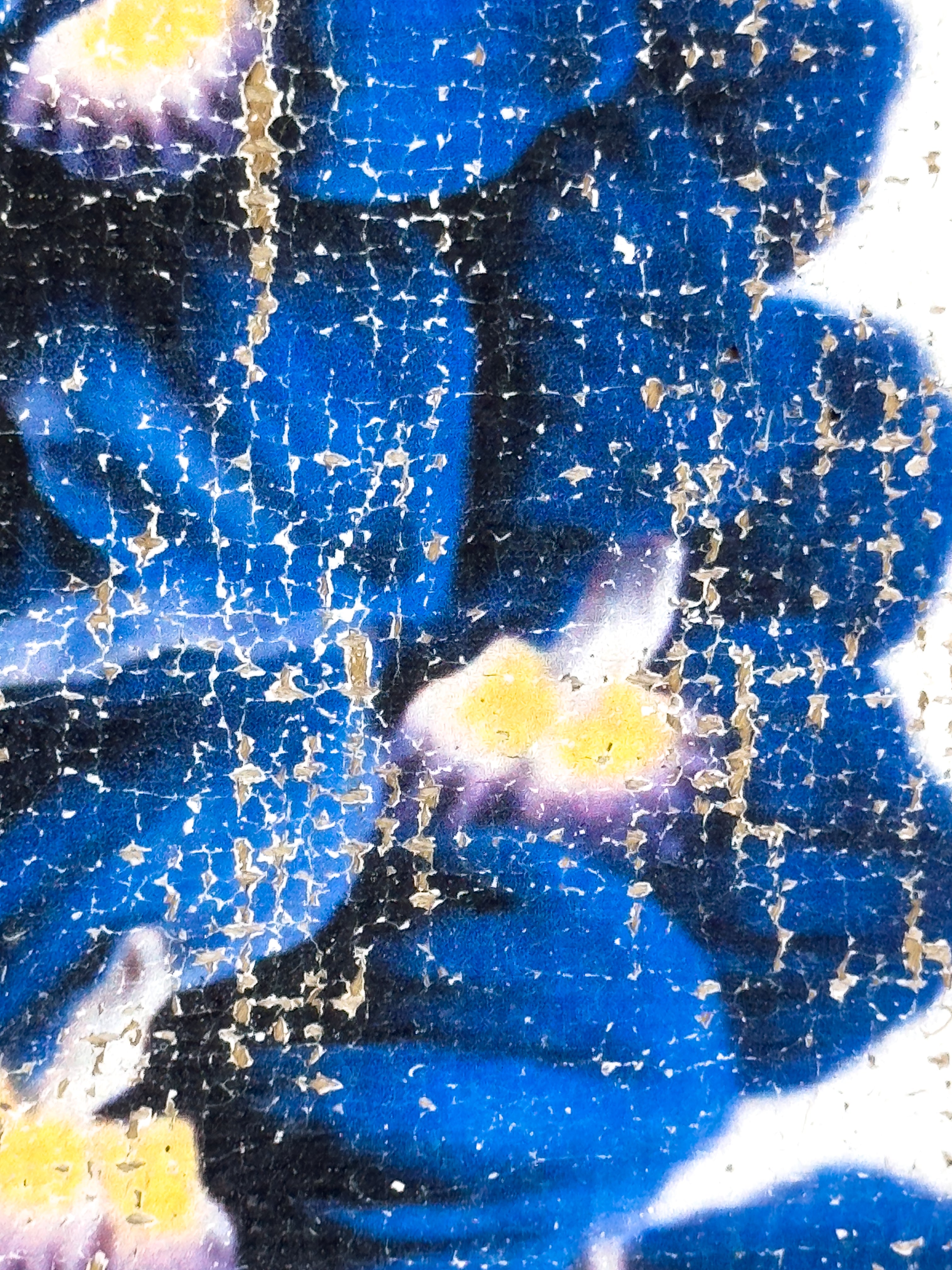 Blue Flowers of Radiance