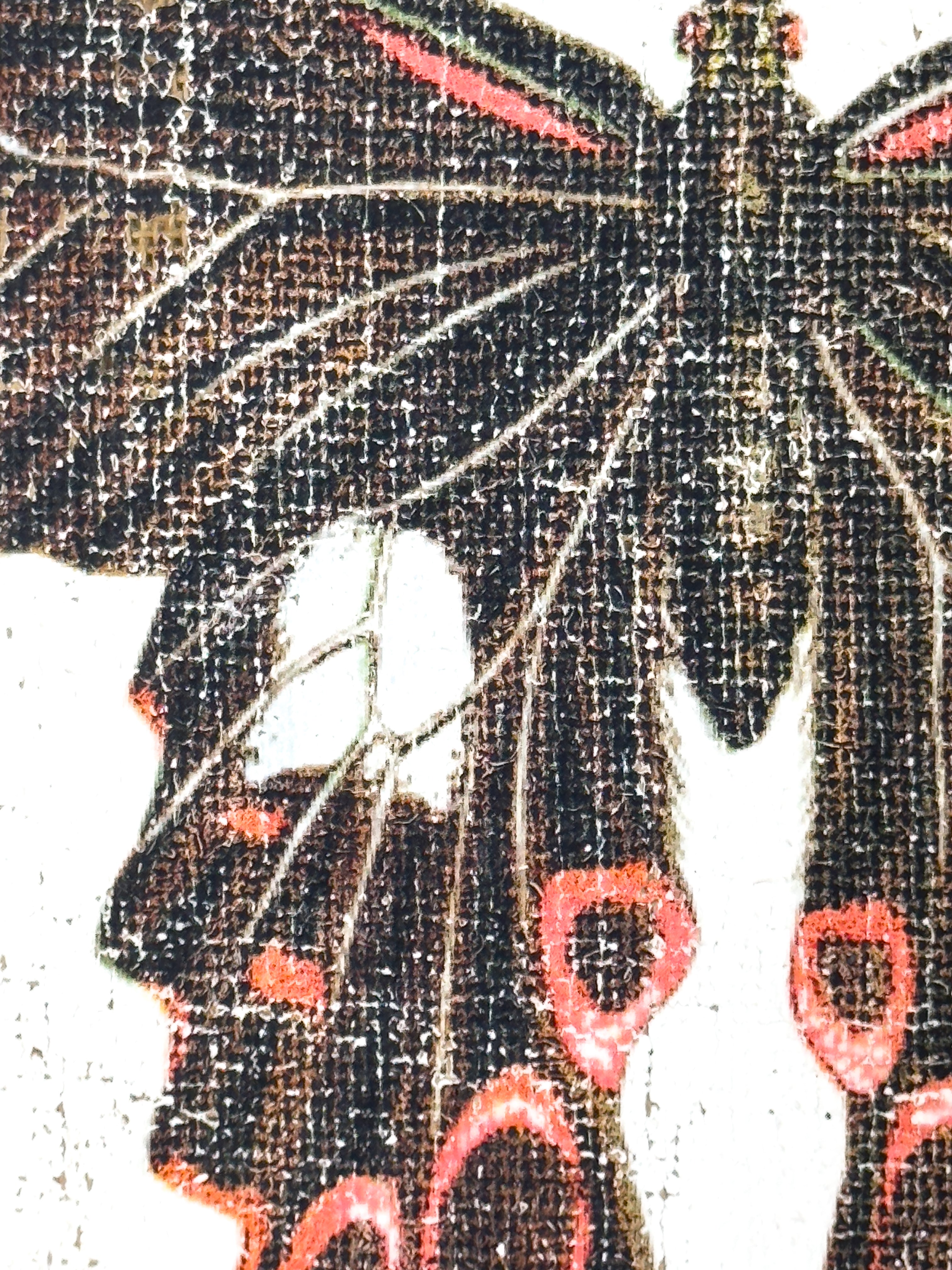 Swallowtail butterfly