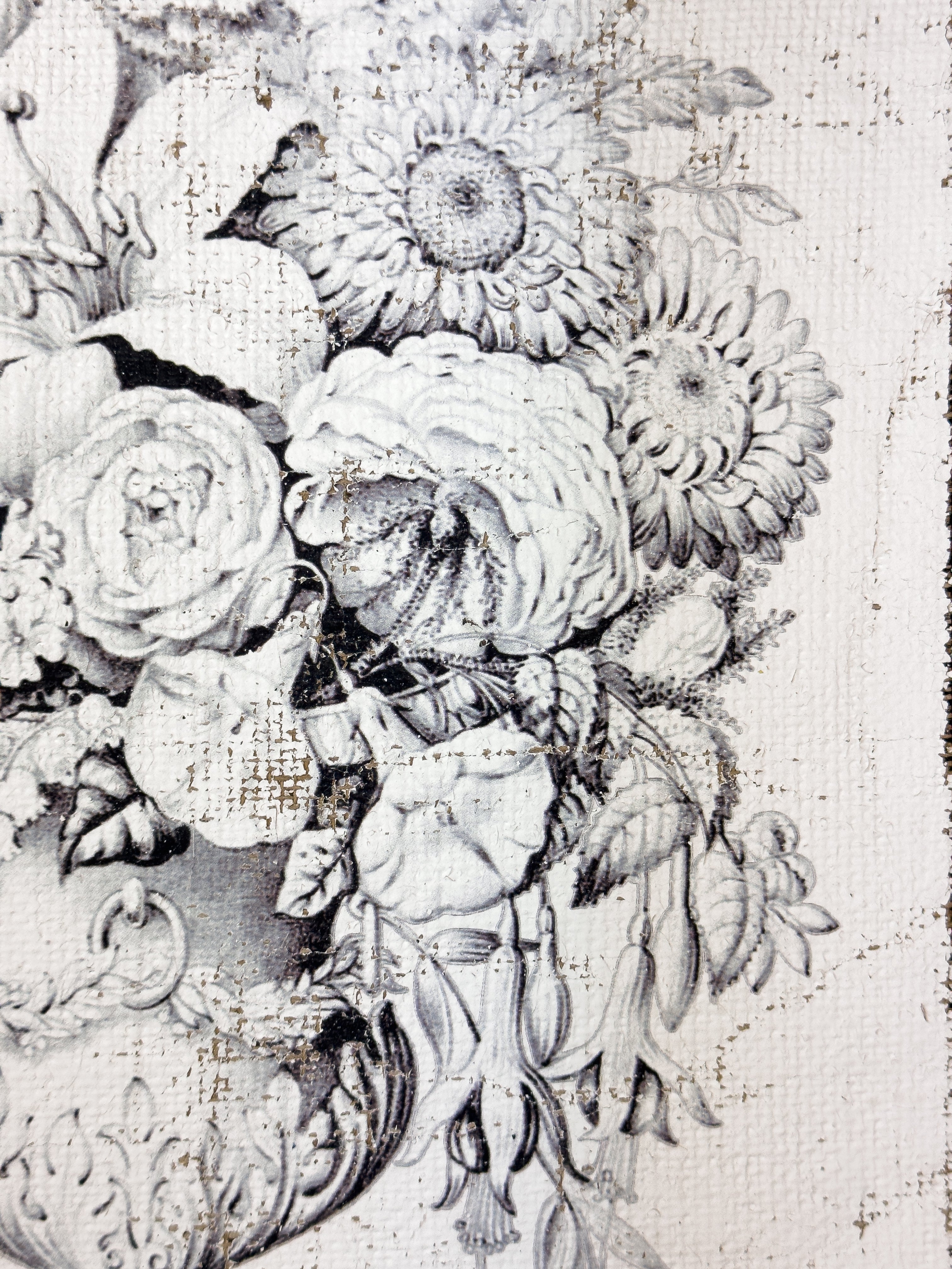 Black and Blanc Opulence