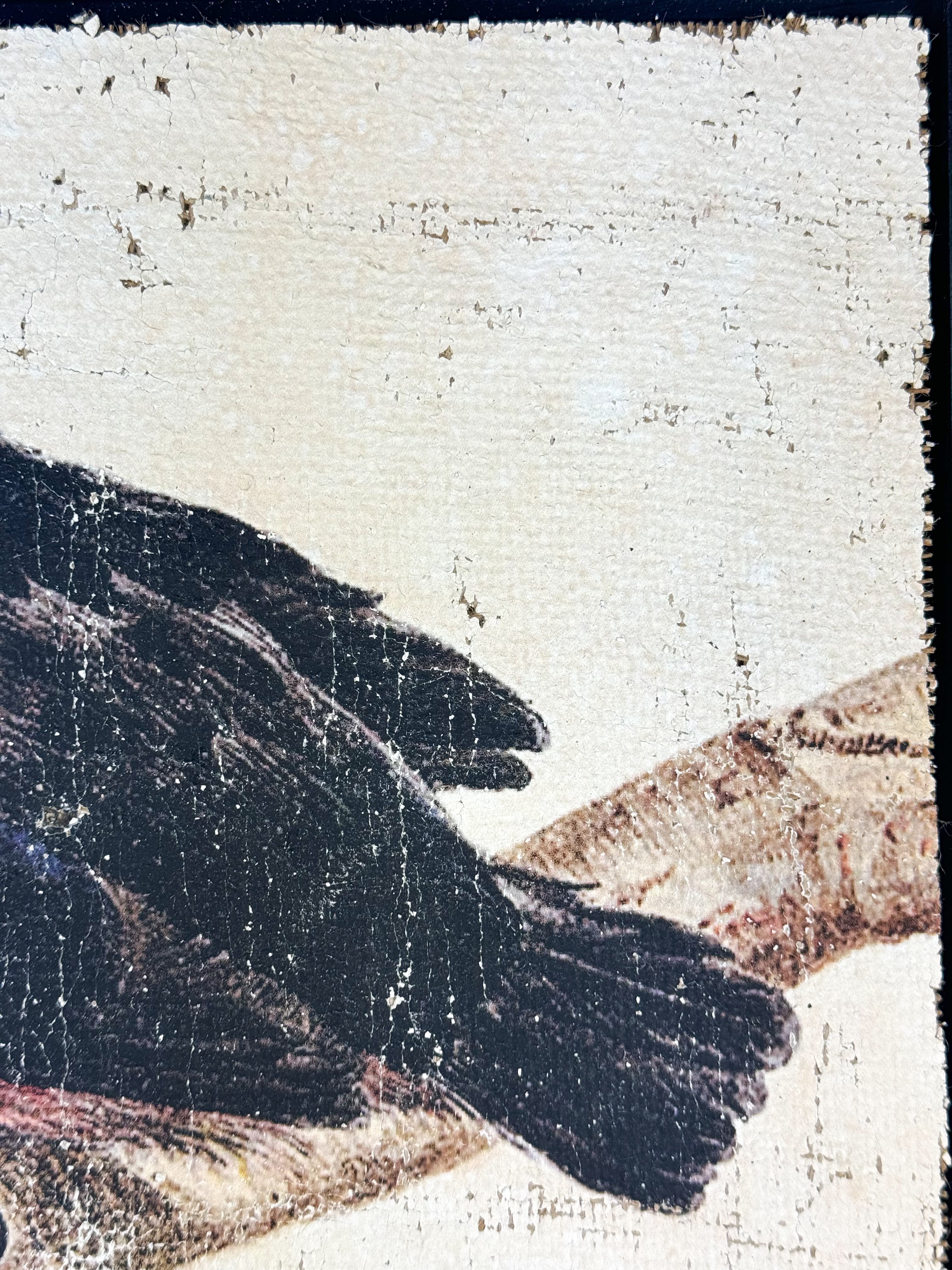 Red and Black Bird - Crimson Perch